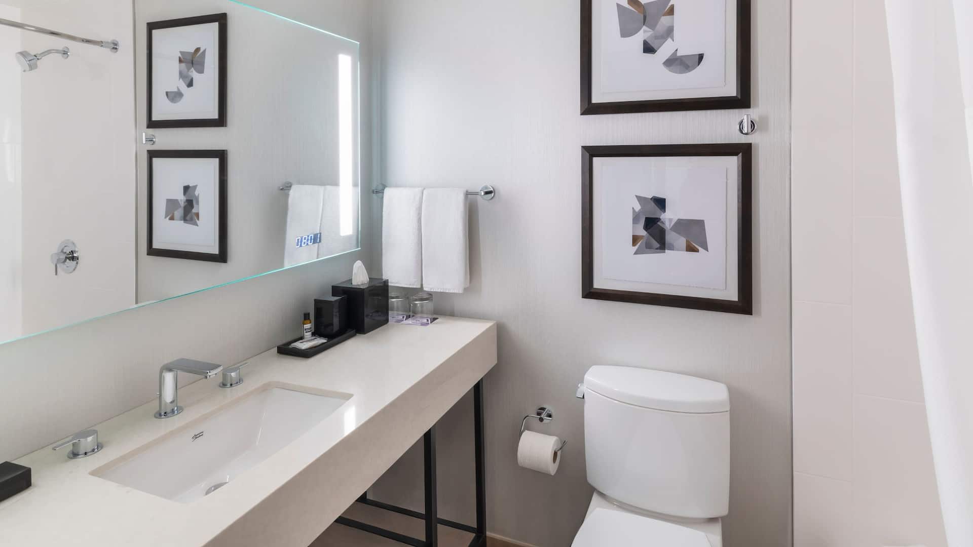 5/6 Hyatt Regency O'Hare Chicago Premier Bathroom