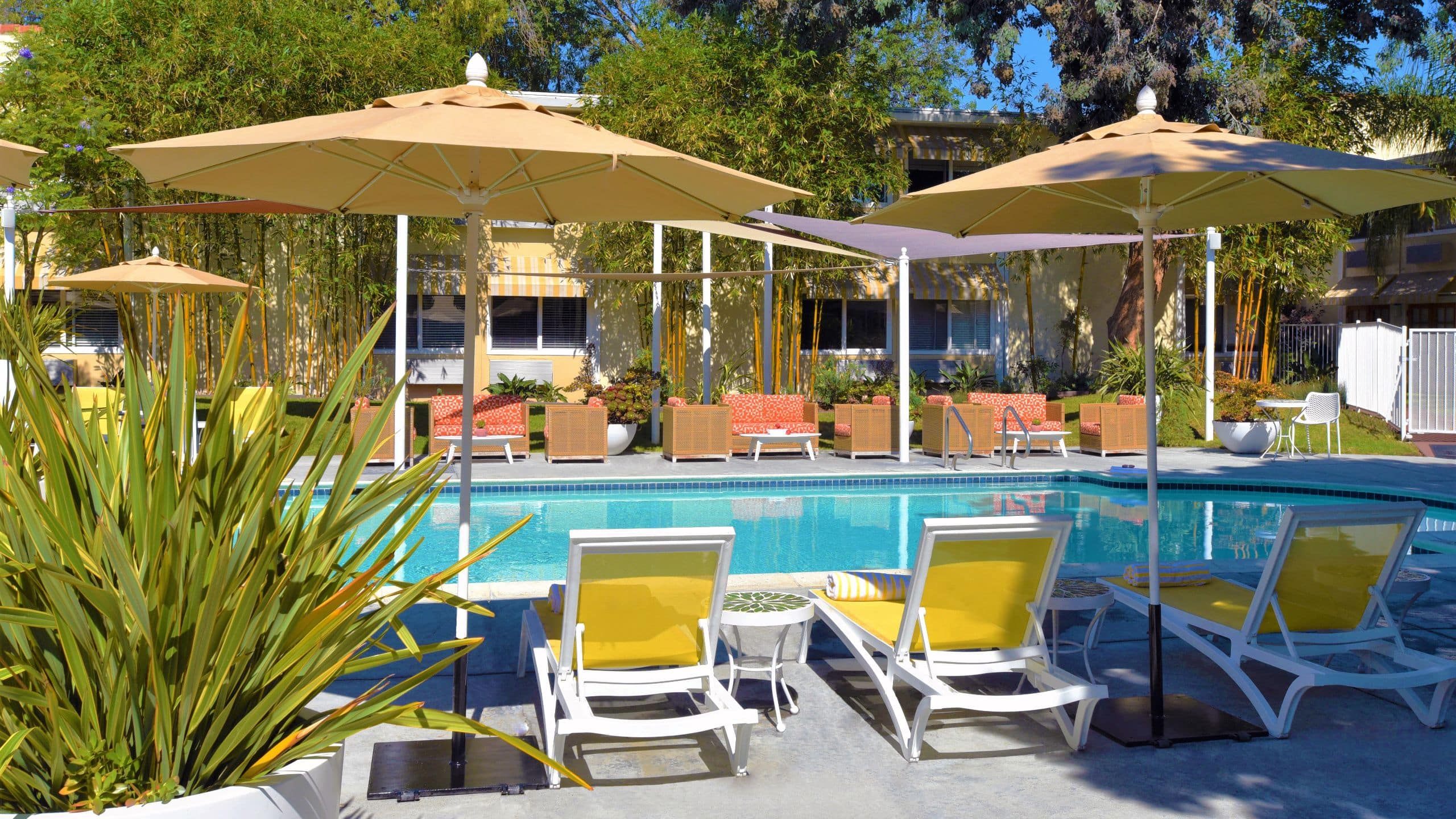 Wild Palms Hotel Pool