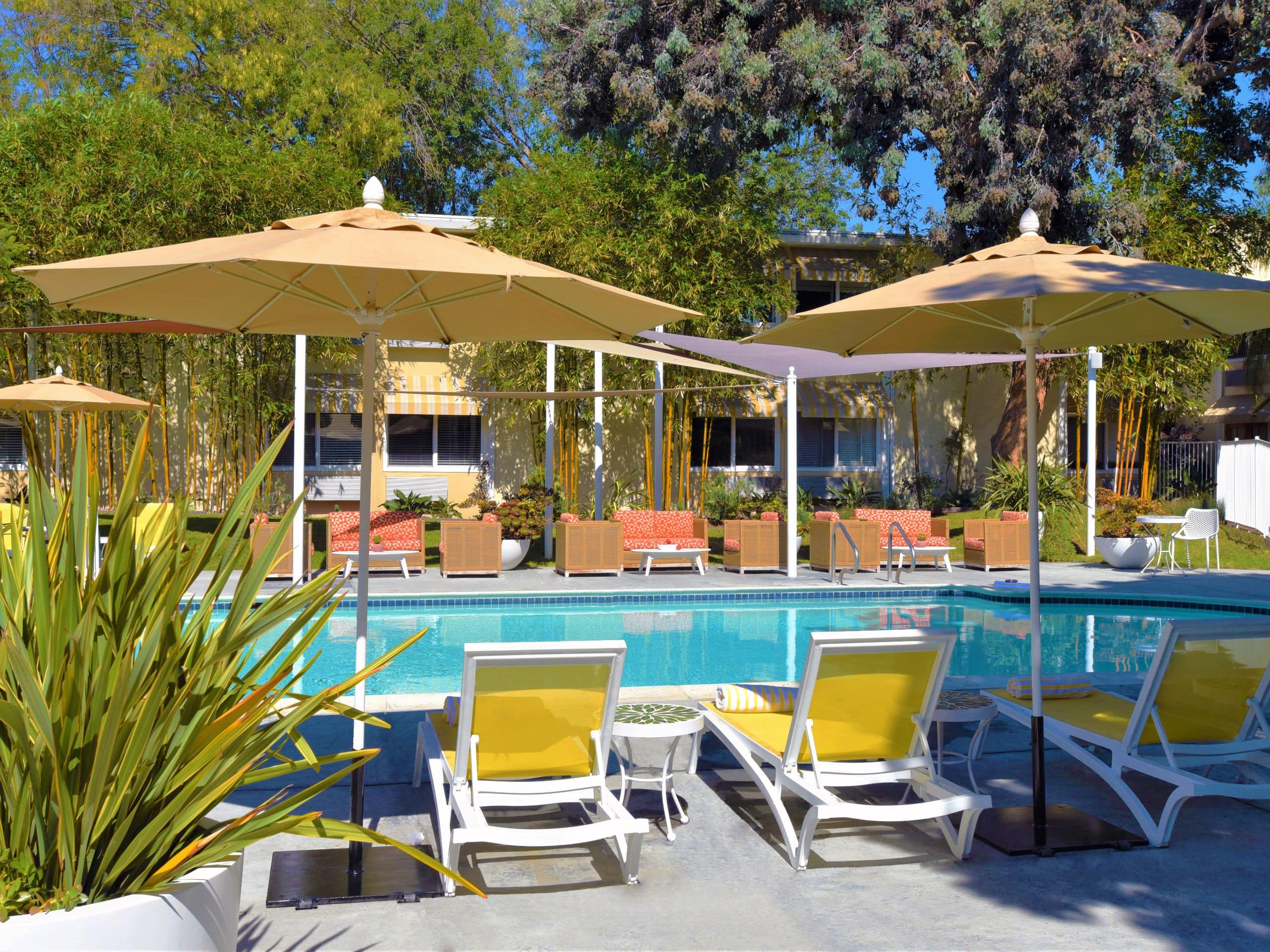 森尼韦尔野棕榈酒店