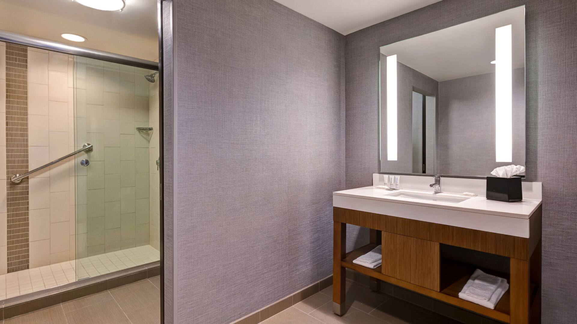 第 3，共 5 Hyatt Place Bloomington/Normal King Curved Standard