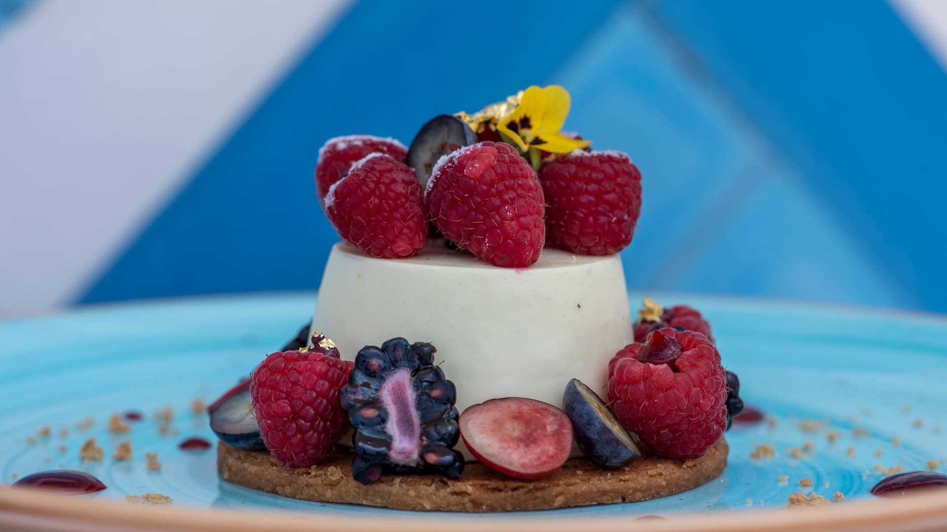 Hyatt Regency Taghazout Citron Brule Restaurant Berry Dessert