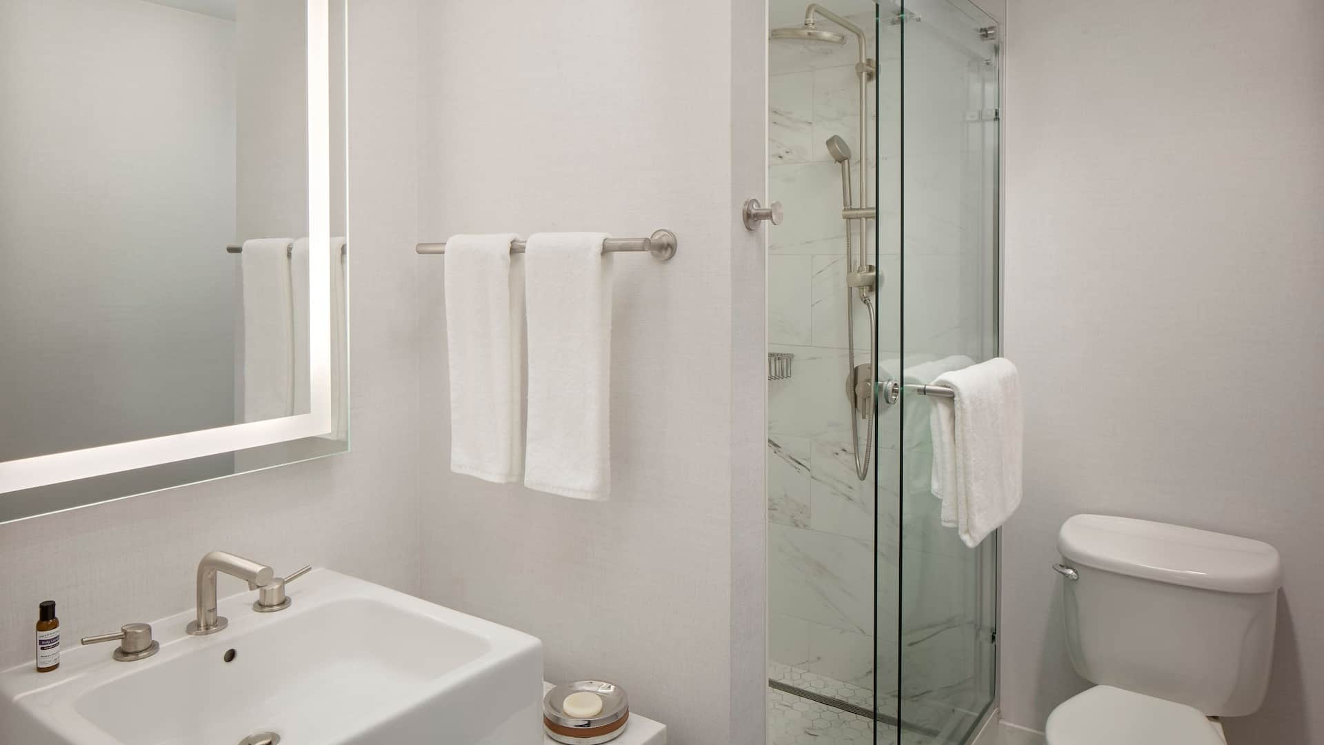 2 de 5 Hyatt Regency Morristown King Studio Suite Bathroom