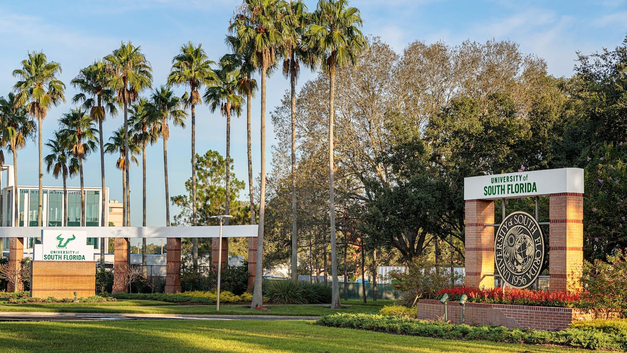 University Of South Florida Entrance