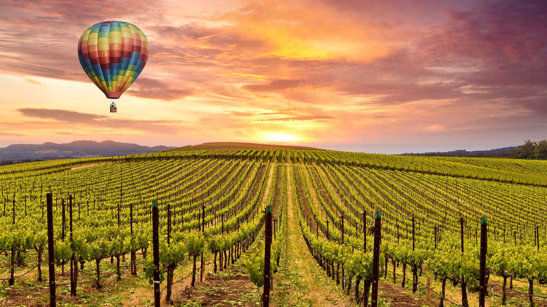 Grand Hyatt San Francisco Napa And Sonoma