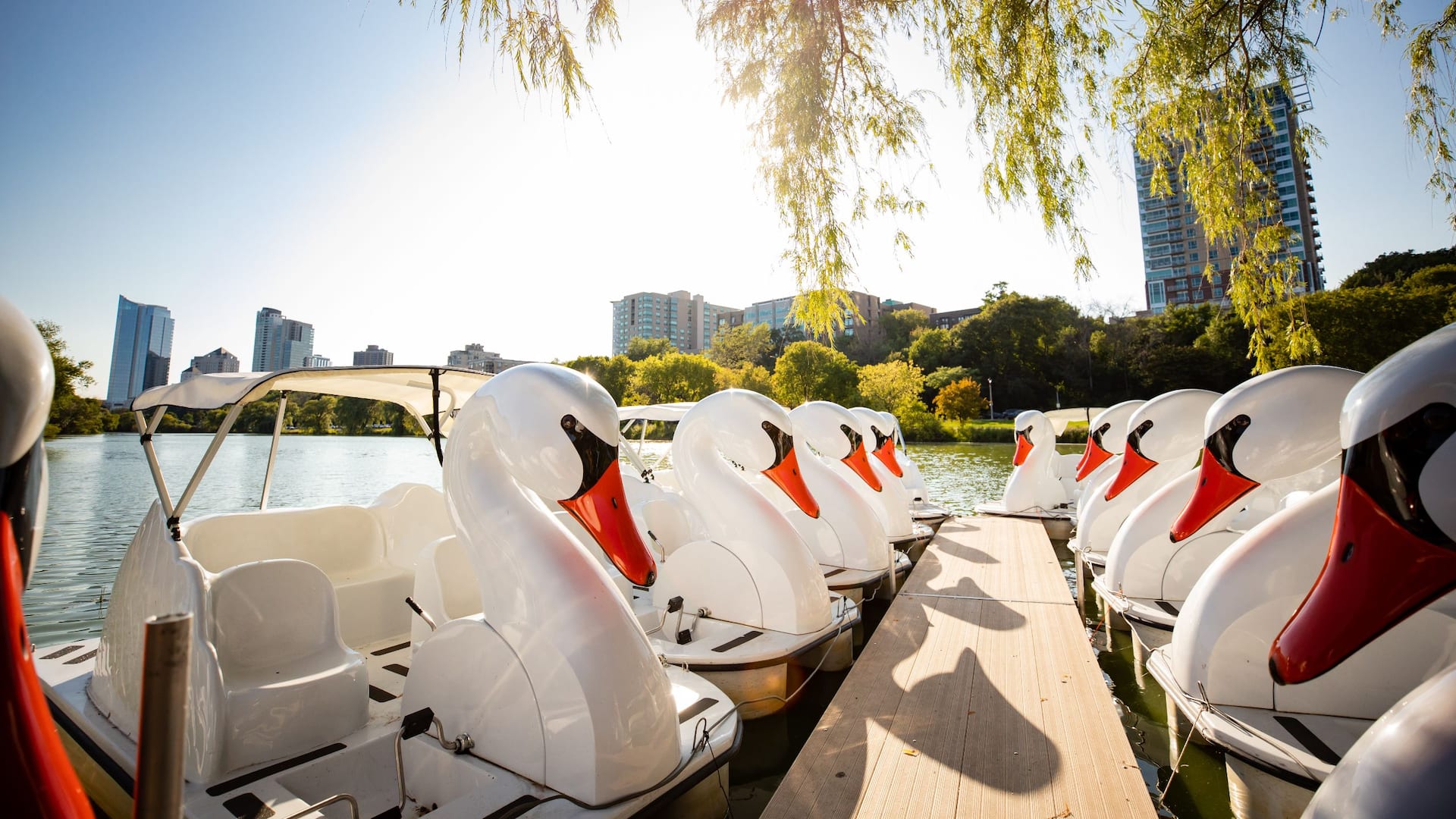 Hyatt Regency Milwaukee Veterans Park Lagoon Swan Boats