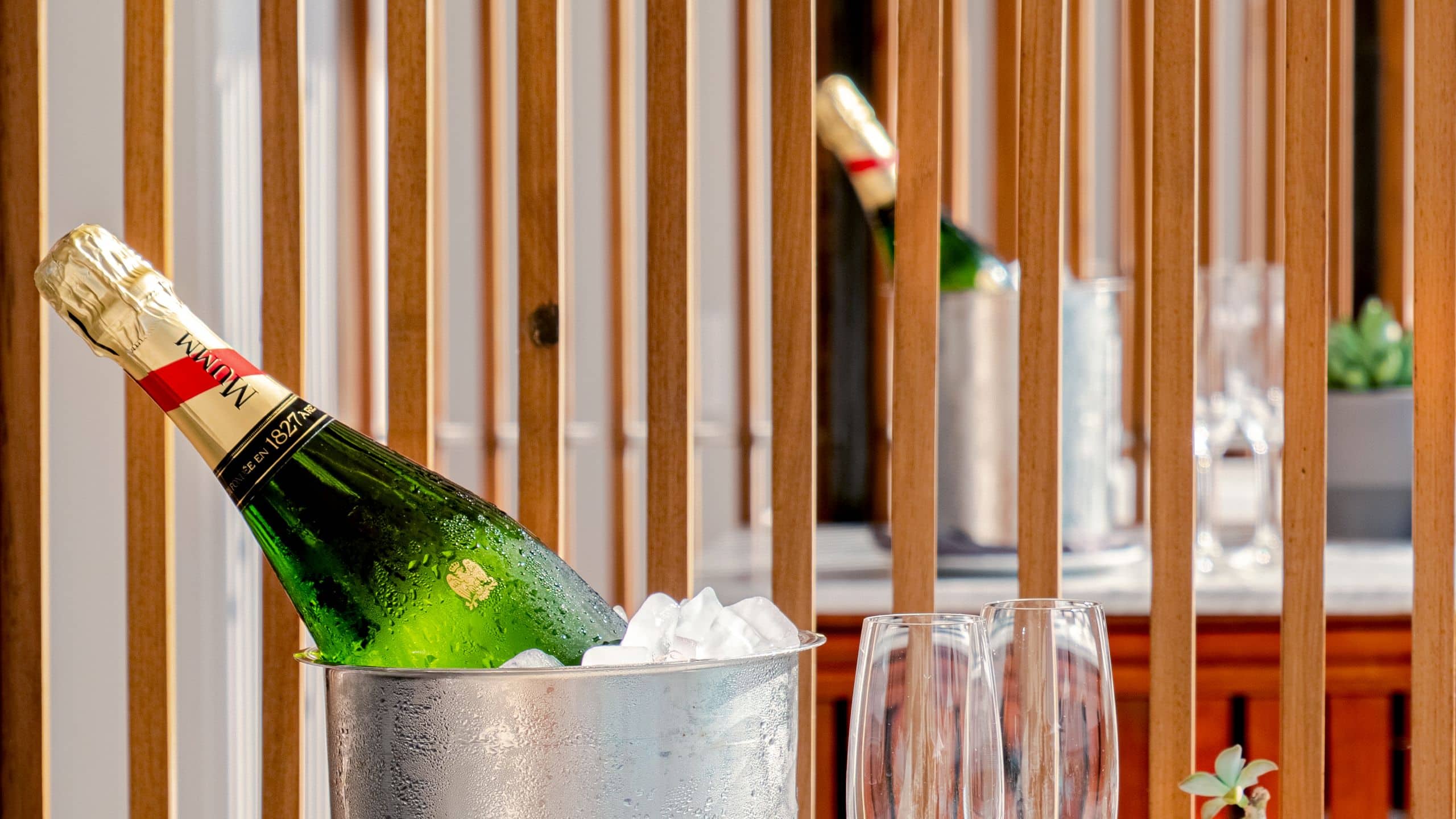 Hyatt Centric Playa del Carmen Alessia Champagne