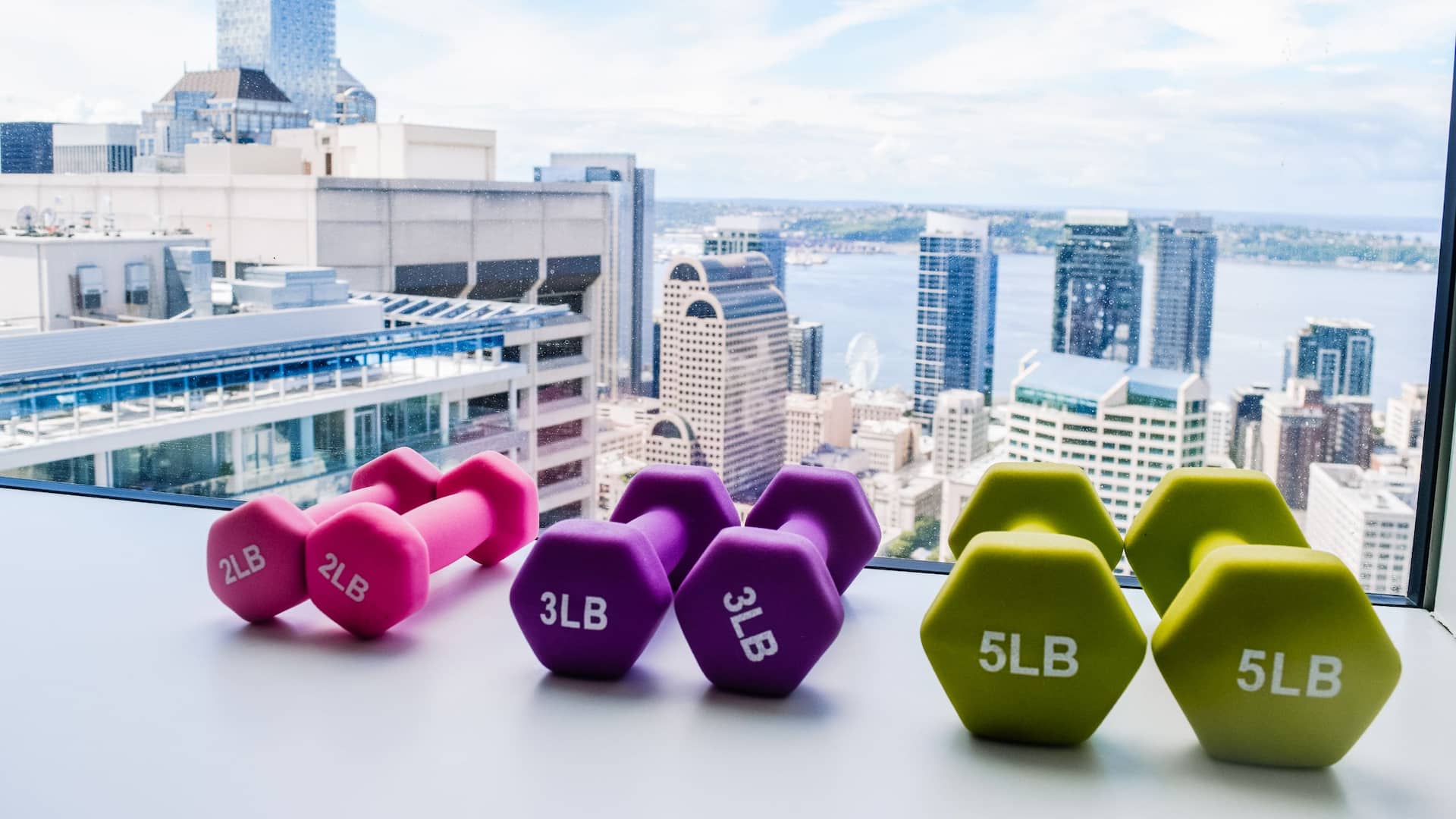 Hyatt Regency Seattle Guestroom Fitness Weights