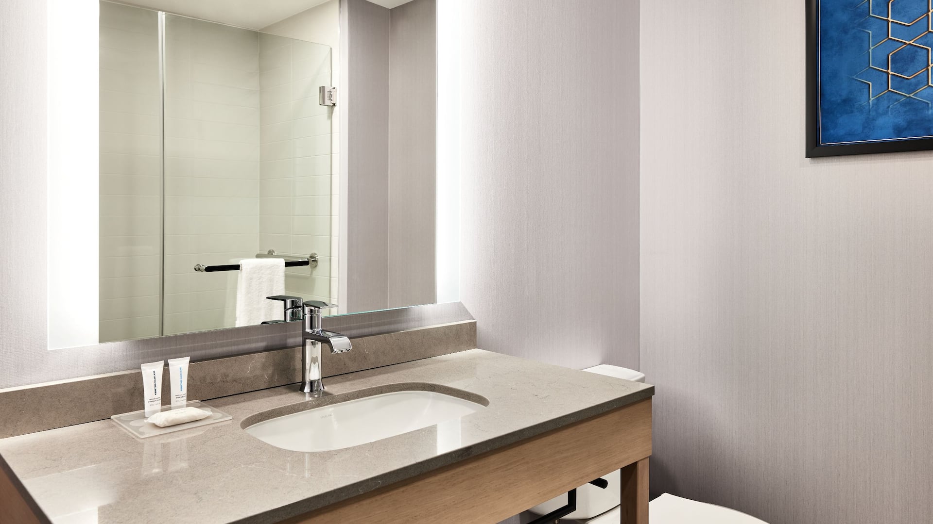 第 4，共 4 Hyatt Place Phoenix / Downtown Standard Bath Vanity