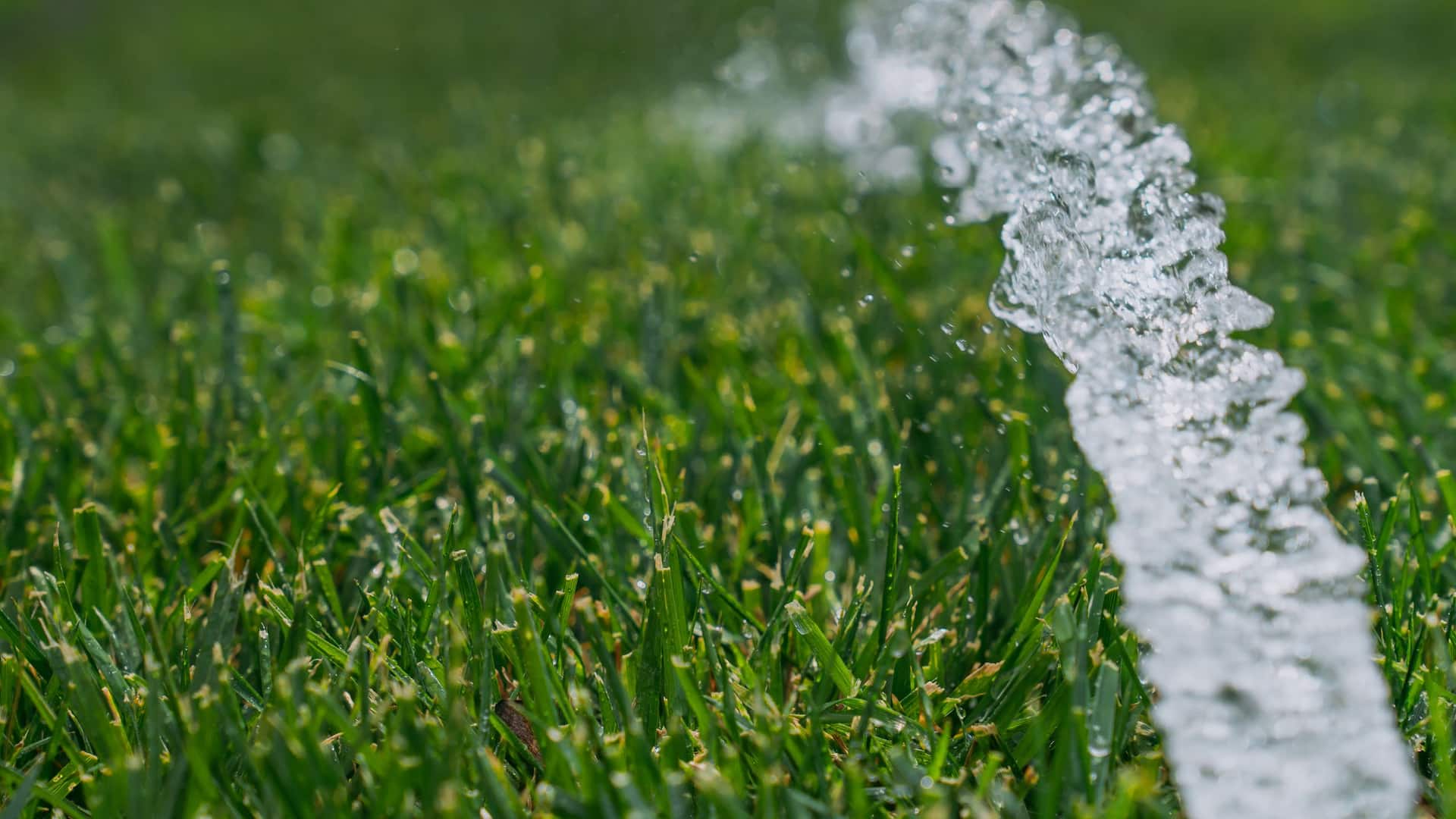 Hyatt Regency Baku Water On Grass