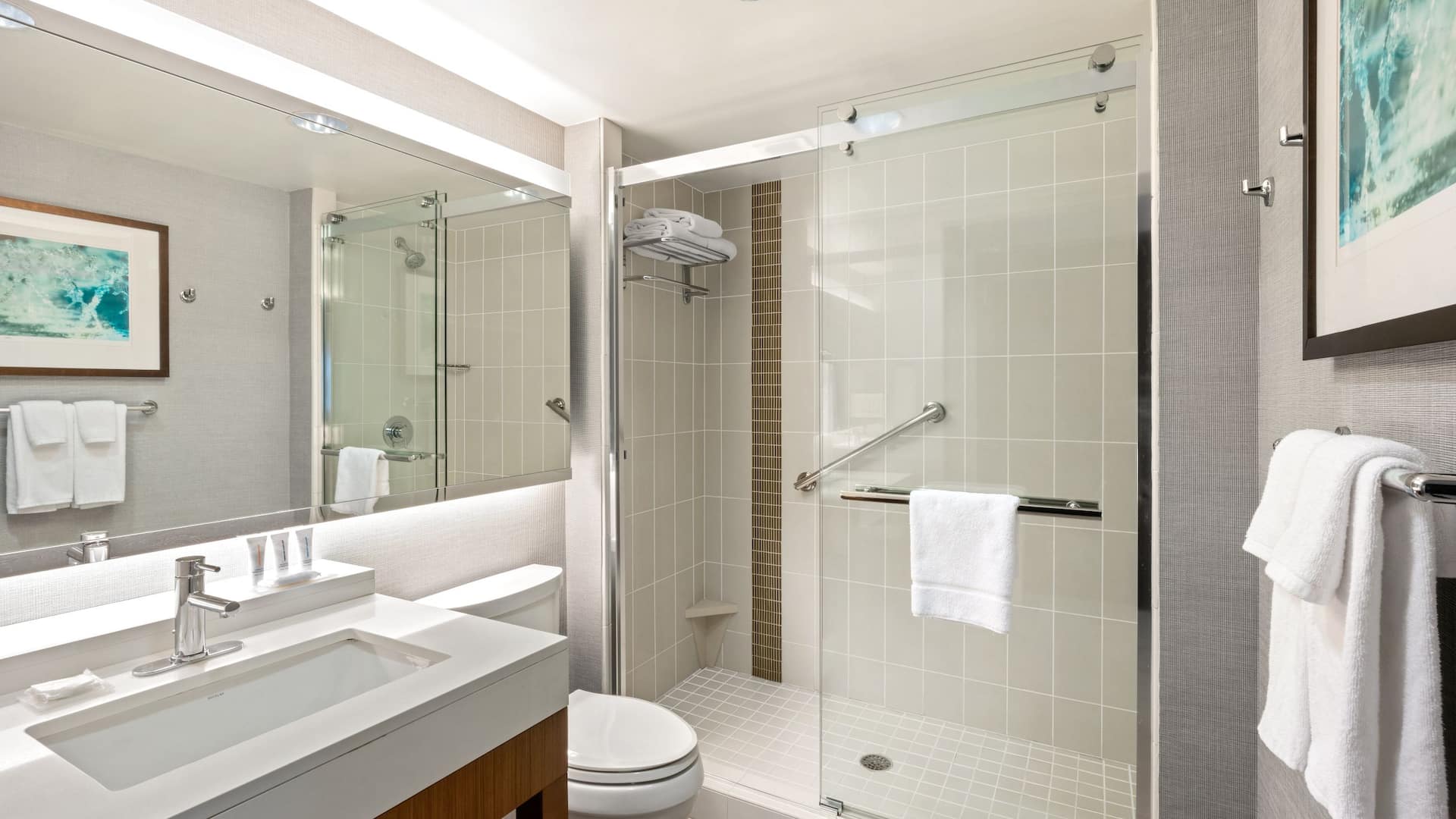 2 из 3 Hyatt Place Washington DC/White House Standard Bathroom