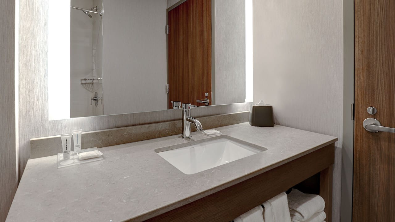 Standard Bathroom Sink