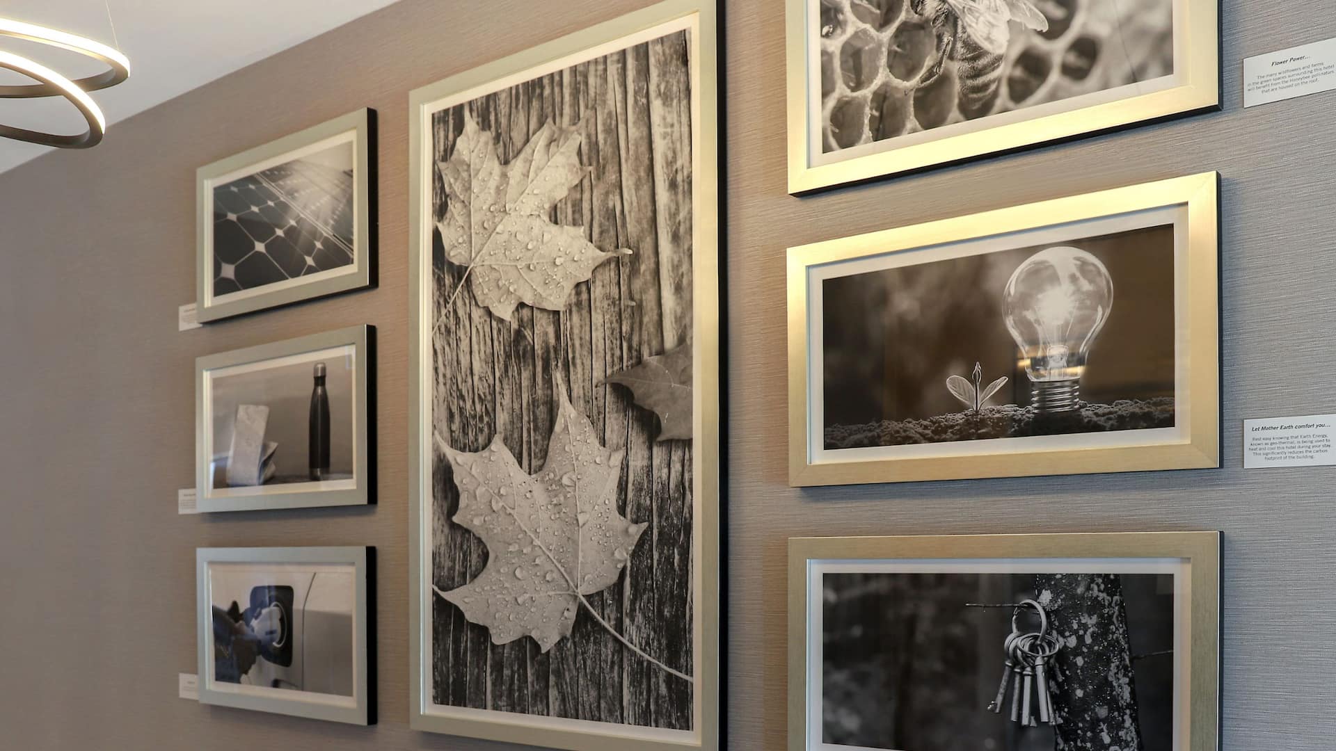 Hyatt Place Ottawa - West Lobby Wall Art