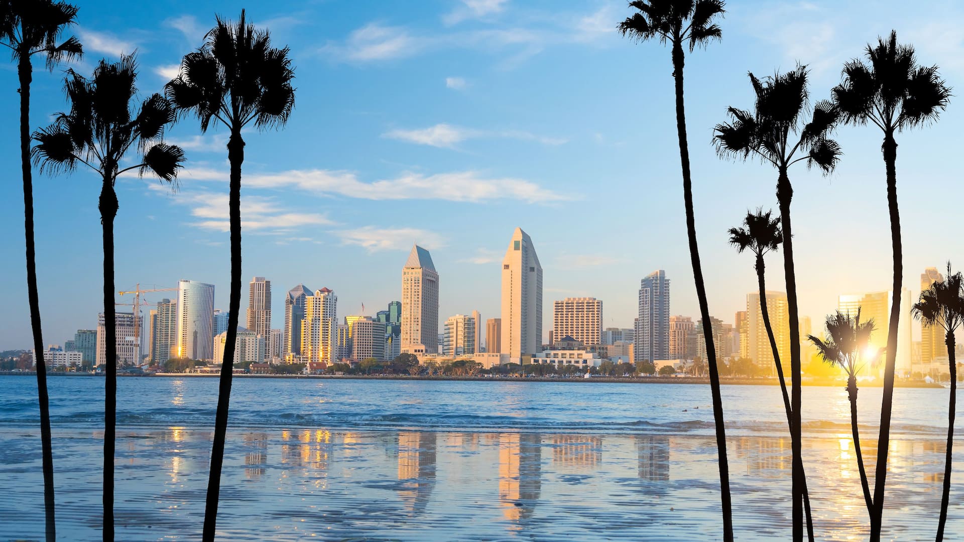 Manchester Grand Hyatt San Diego San Diego Daytime Skyline