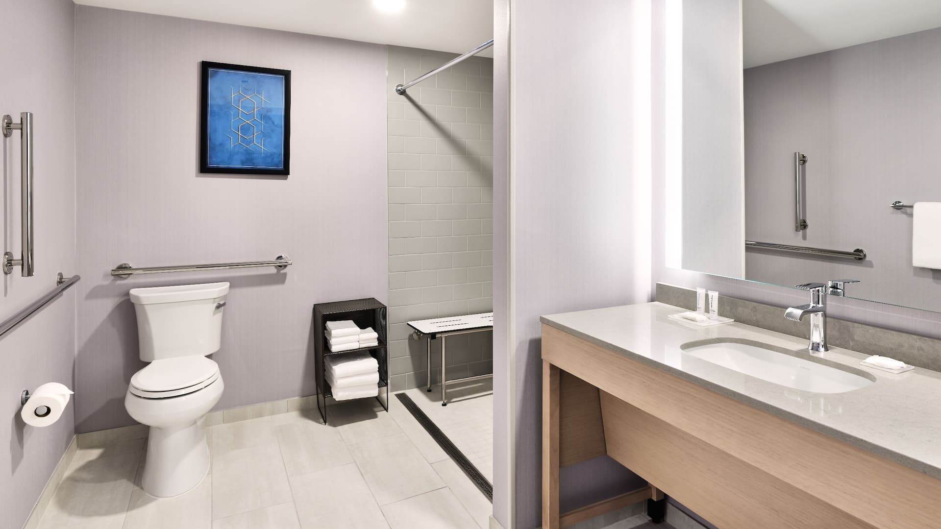第 1，共 4 Hyatt Place Phoenix / Downtown ADA Bathroom