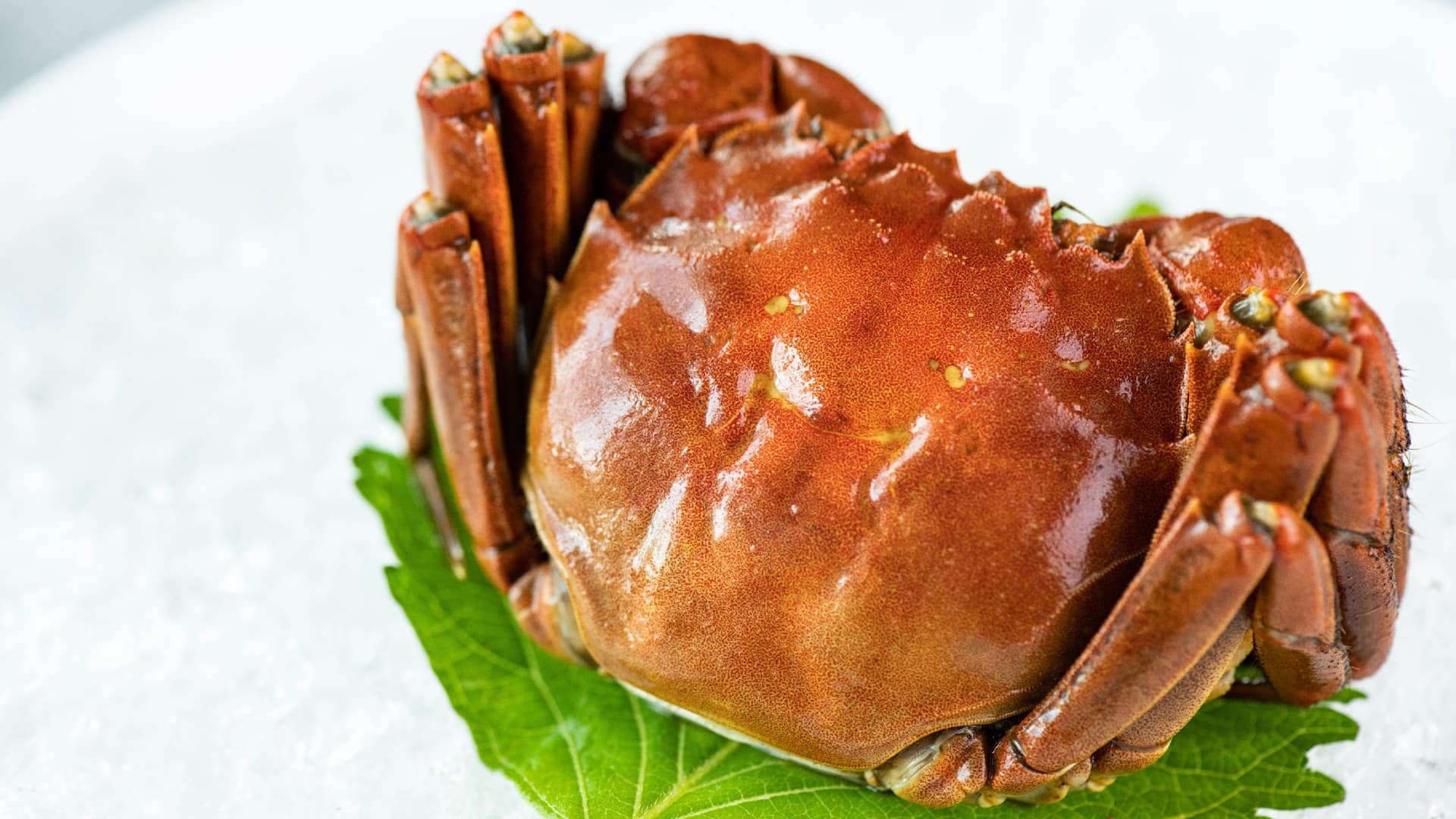 Grand Hyatt Shenzhen China Lodge Lobster Dish