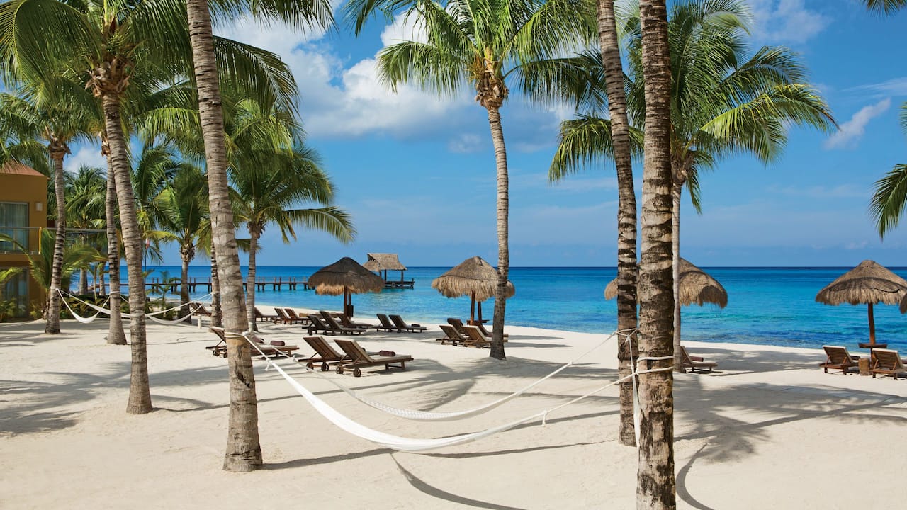 Luxury Couples Getaway in Mexico | Secrets Aura Cozumel Resort & Spa Part  of World of Hyatt