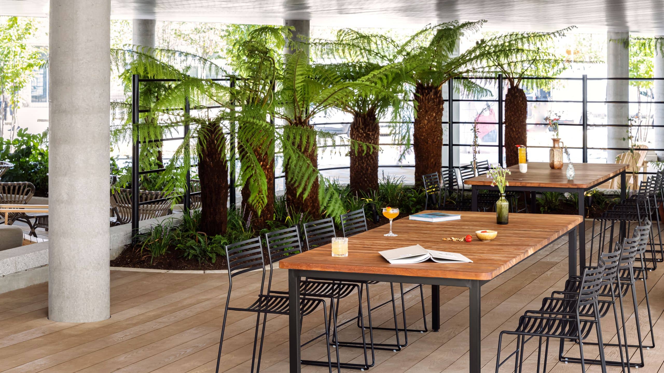 Hyatt Centric Cambridge Dutch Bar Terrace