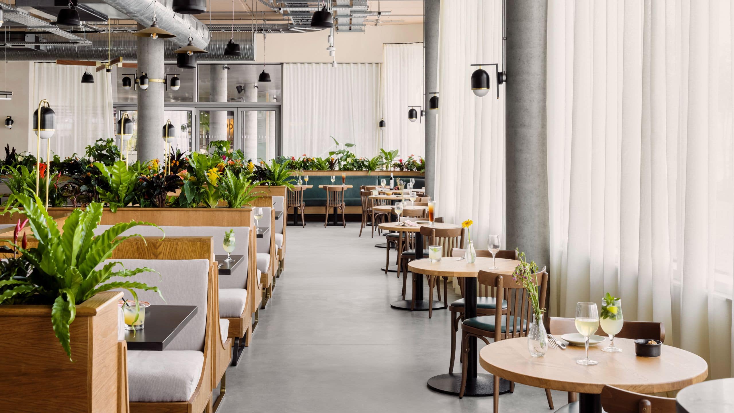 Hyatt Centric Cambridge Stnct Kota Restaurant 6