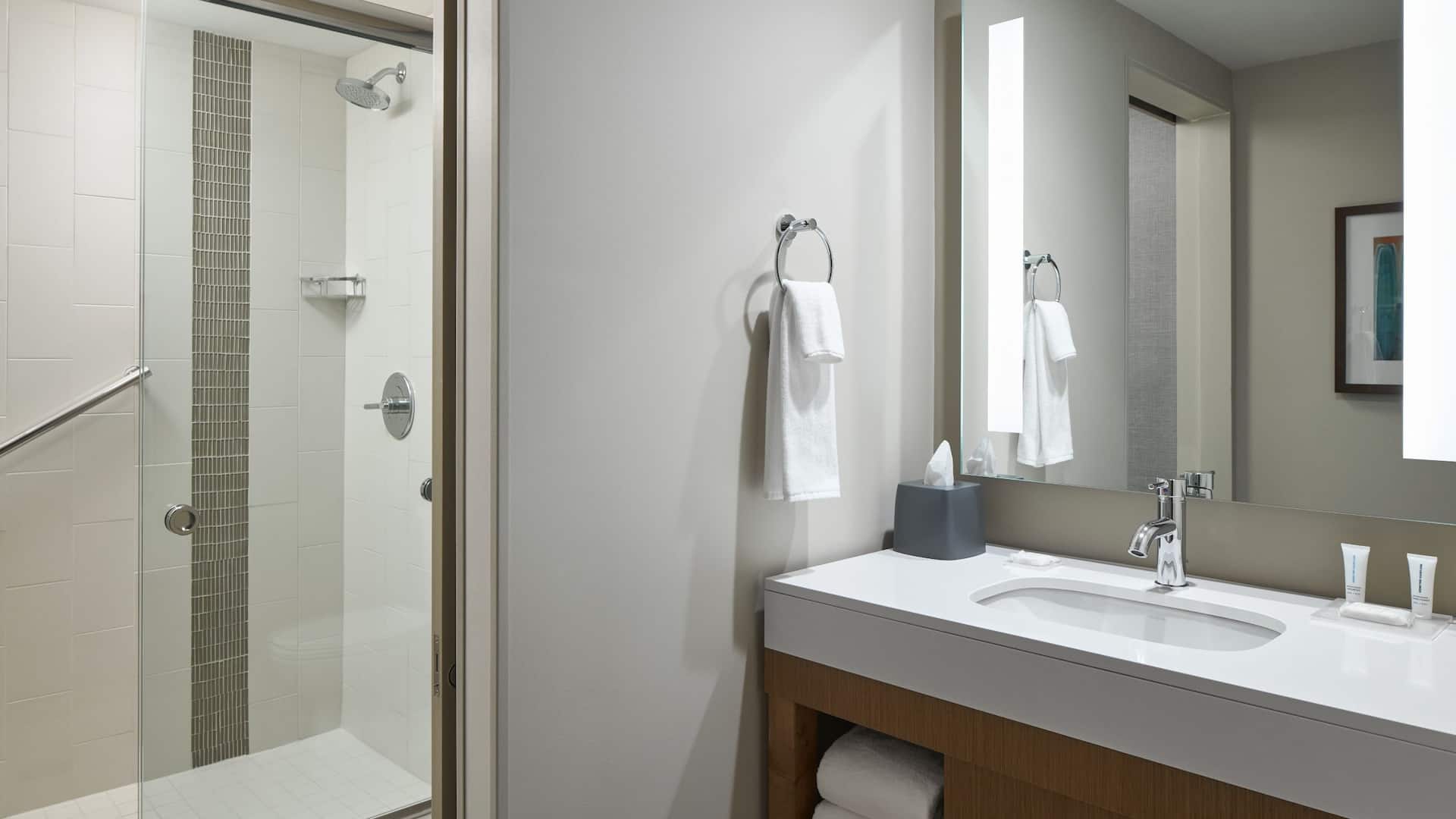 3 of 3 Hyatt Place Evansville / Downtown King Studio Bathroom