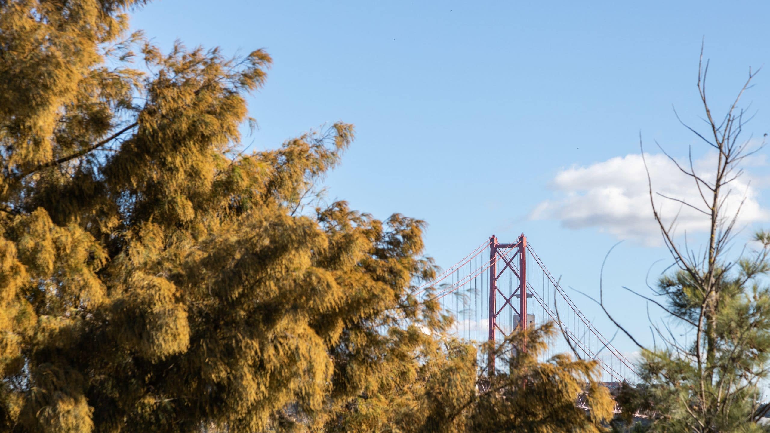 Hyatt Regency Lisbon Bridge