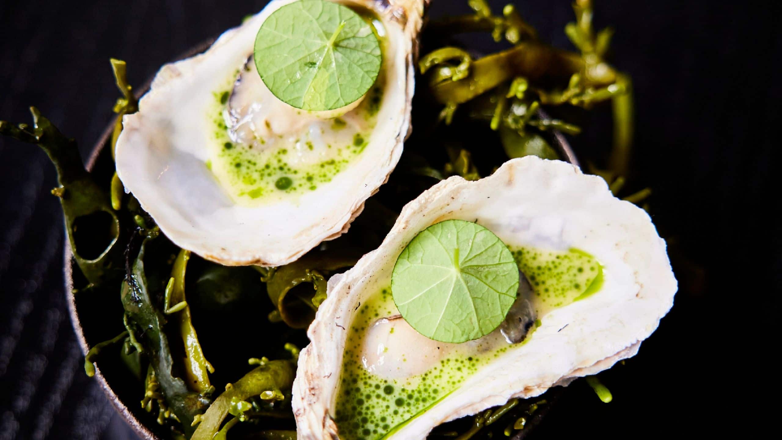 Great Scotland Yard Hotel Ekstedt At The Yard Oysters