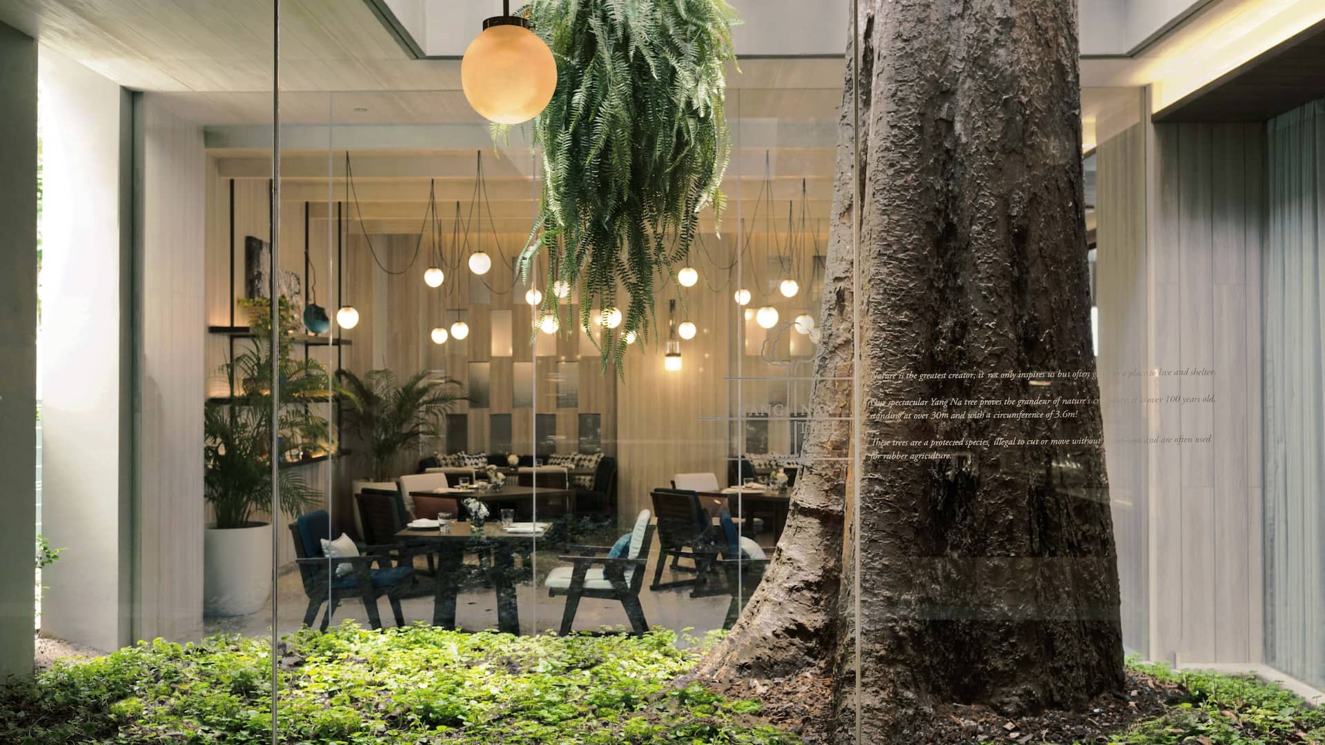 Hyatt Regency Koh Samui Yangna Cuisine Yang Na