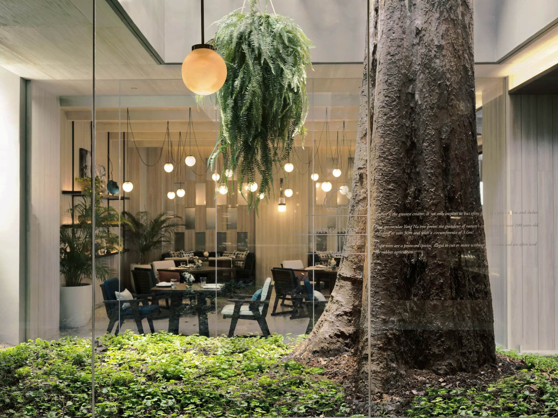 Hyatt Regency Koh Samui Yangna Cuisine Yang Na
