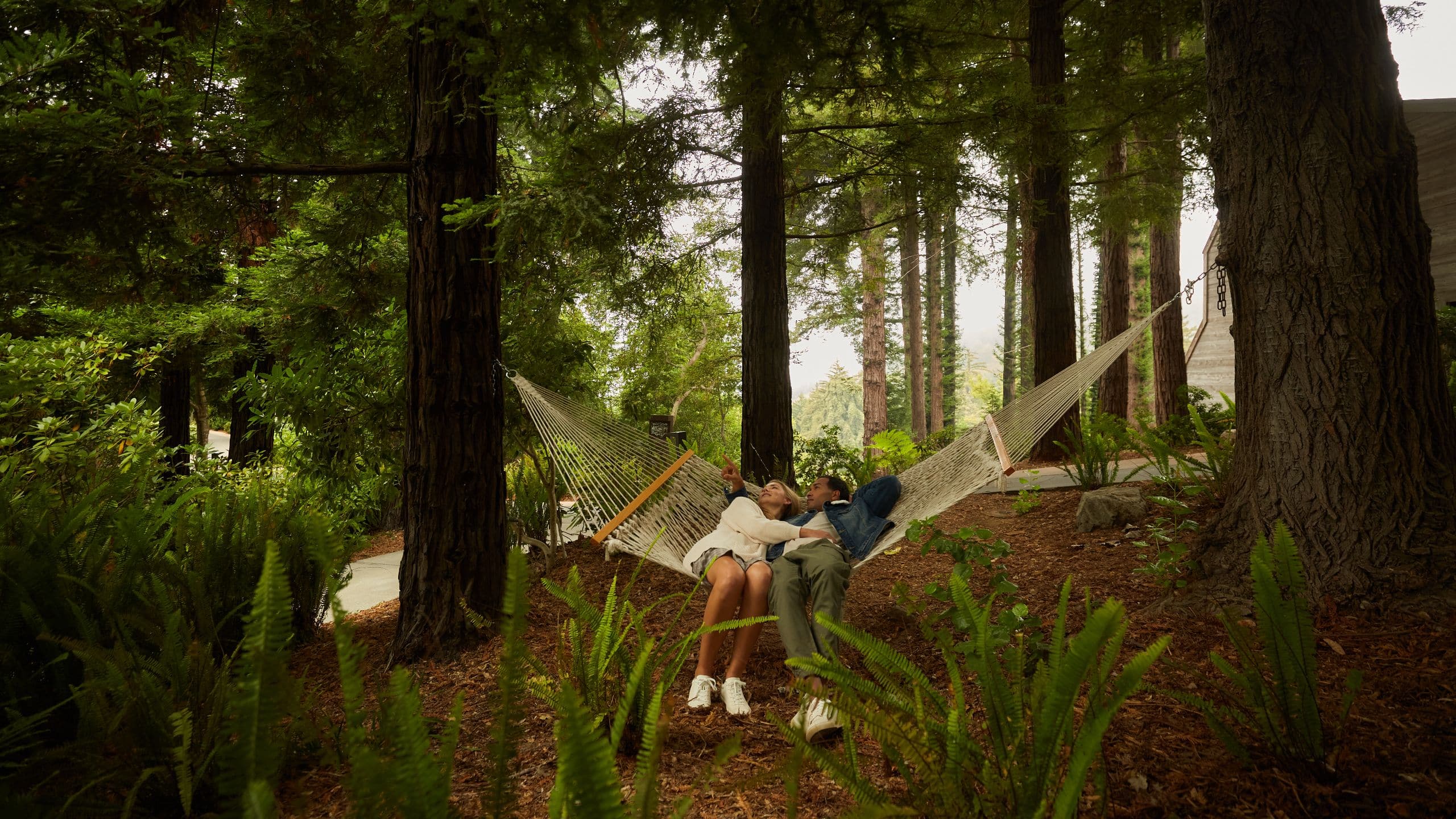 Alila Ventana Big Sur Couple Hammock Forest