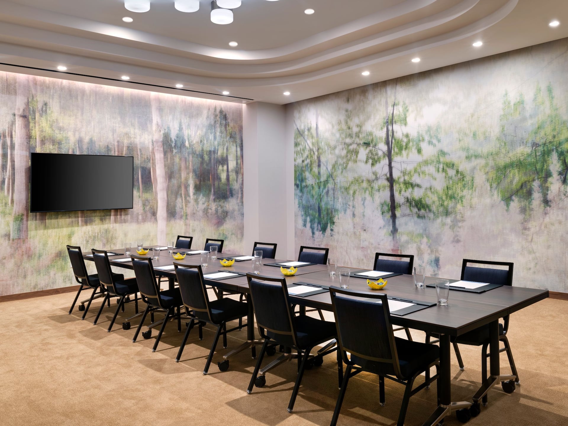 Hyatt Place LAX / Century Blvd Boardroom