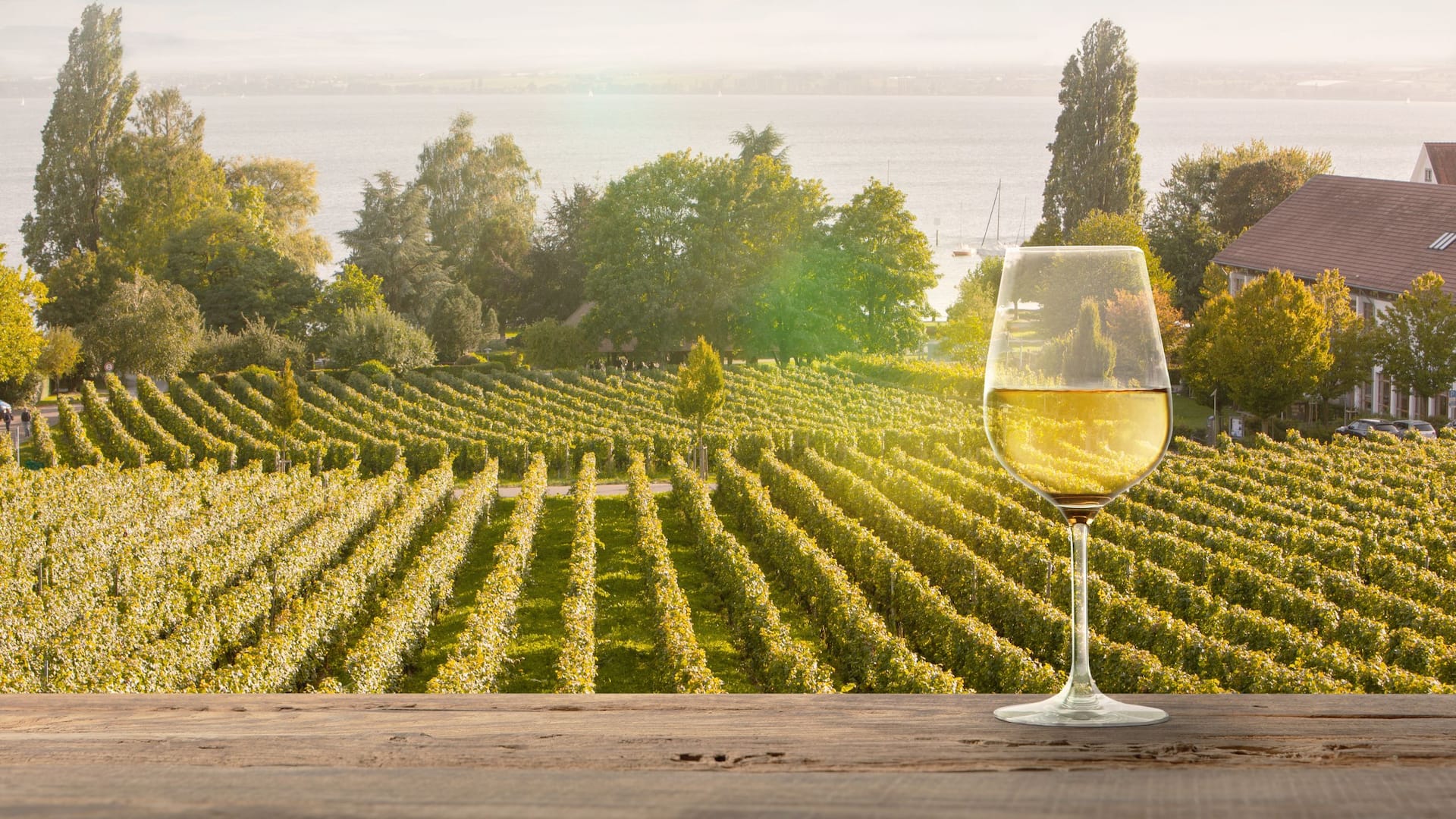 Hyatt Regency Santa Clara Wine Country