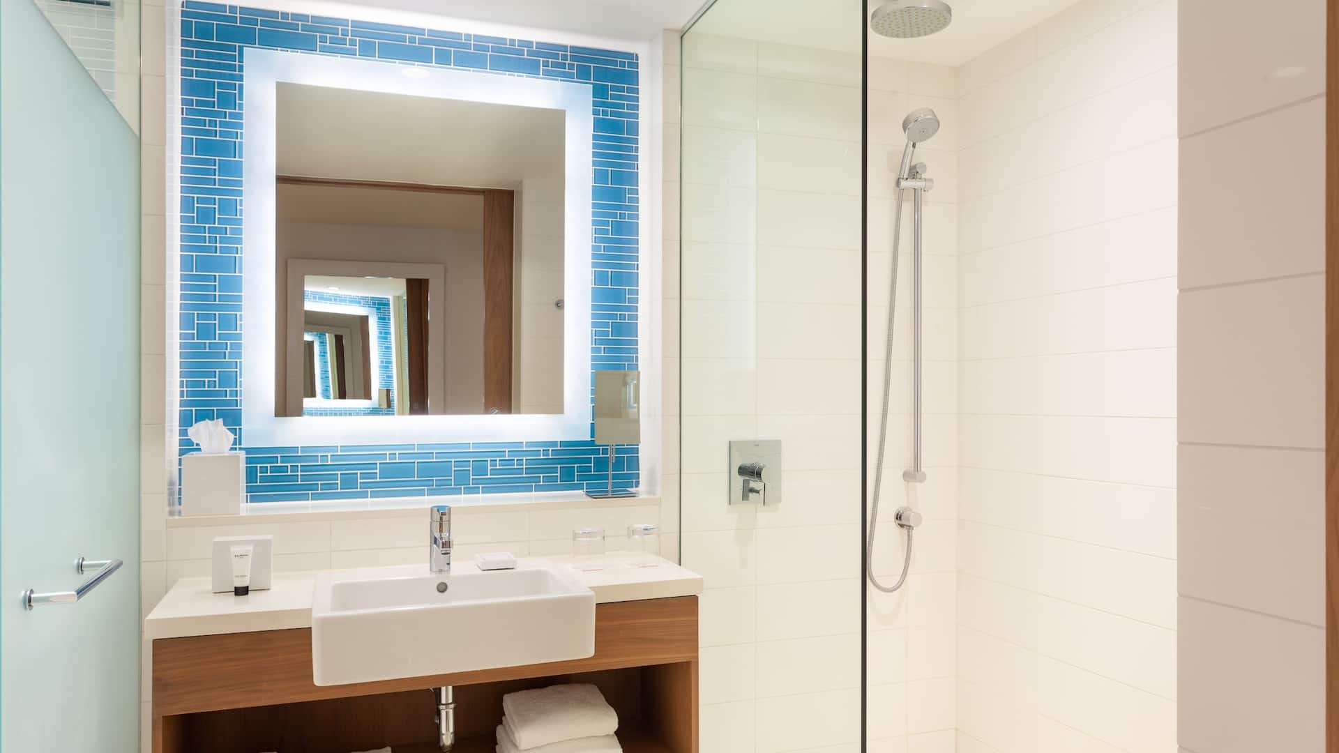 4/4 Grand Hyatt Baha Mar Ocean View 1BR Deluxe Bathroom West