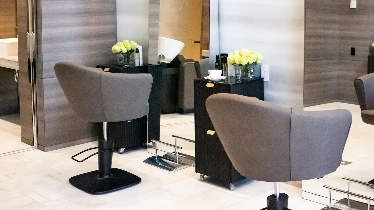 Rossano Ferreti Hair Salon Chairs