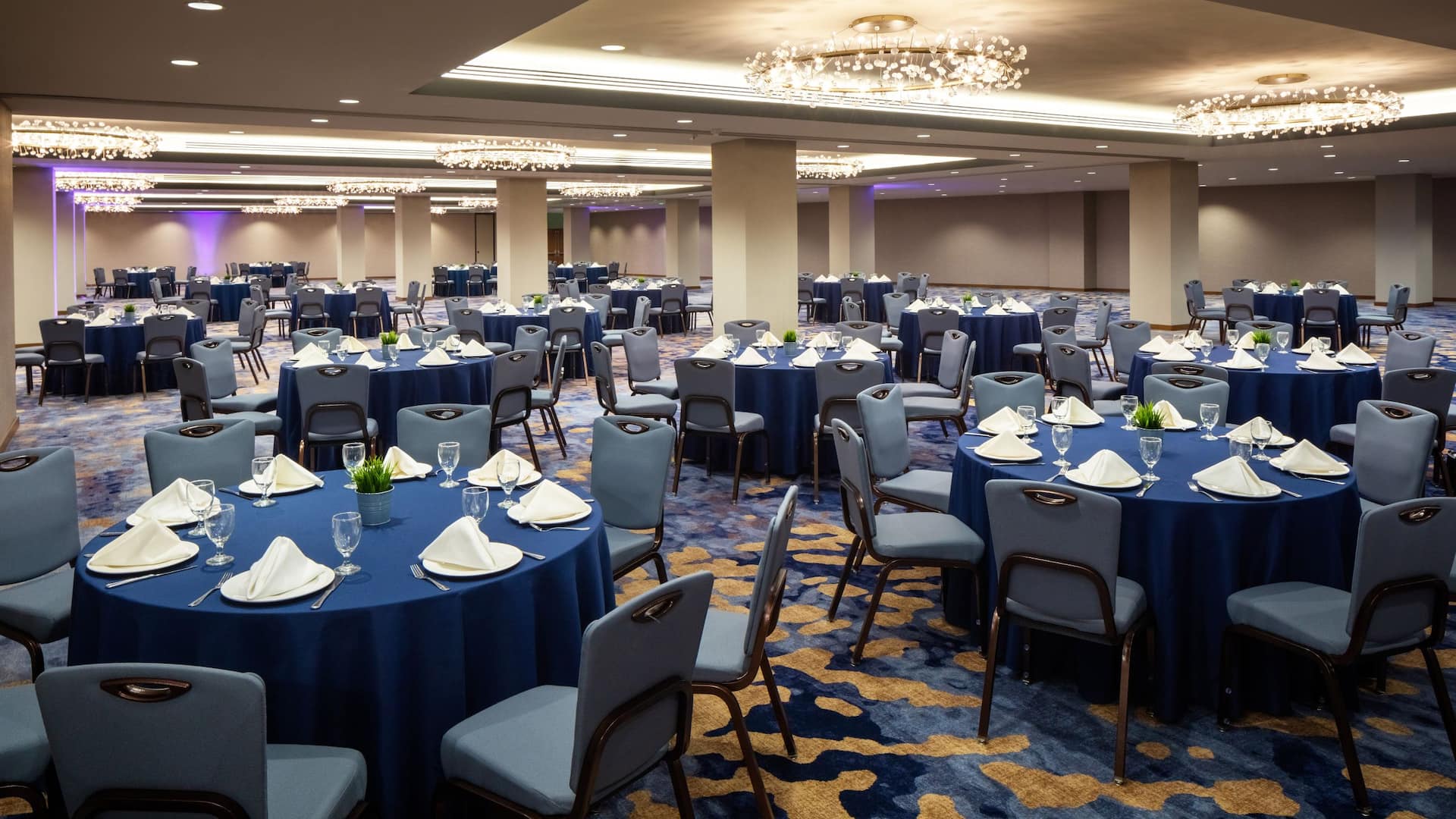 Hyatt Regency Minneapolis Boundary Waters Rounds