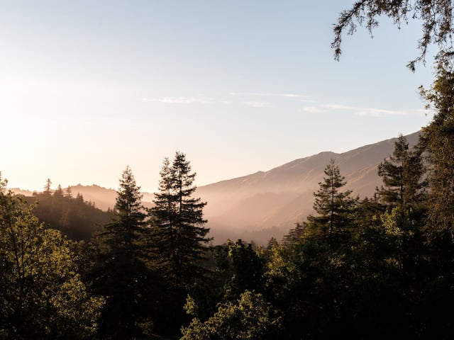 Valley View