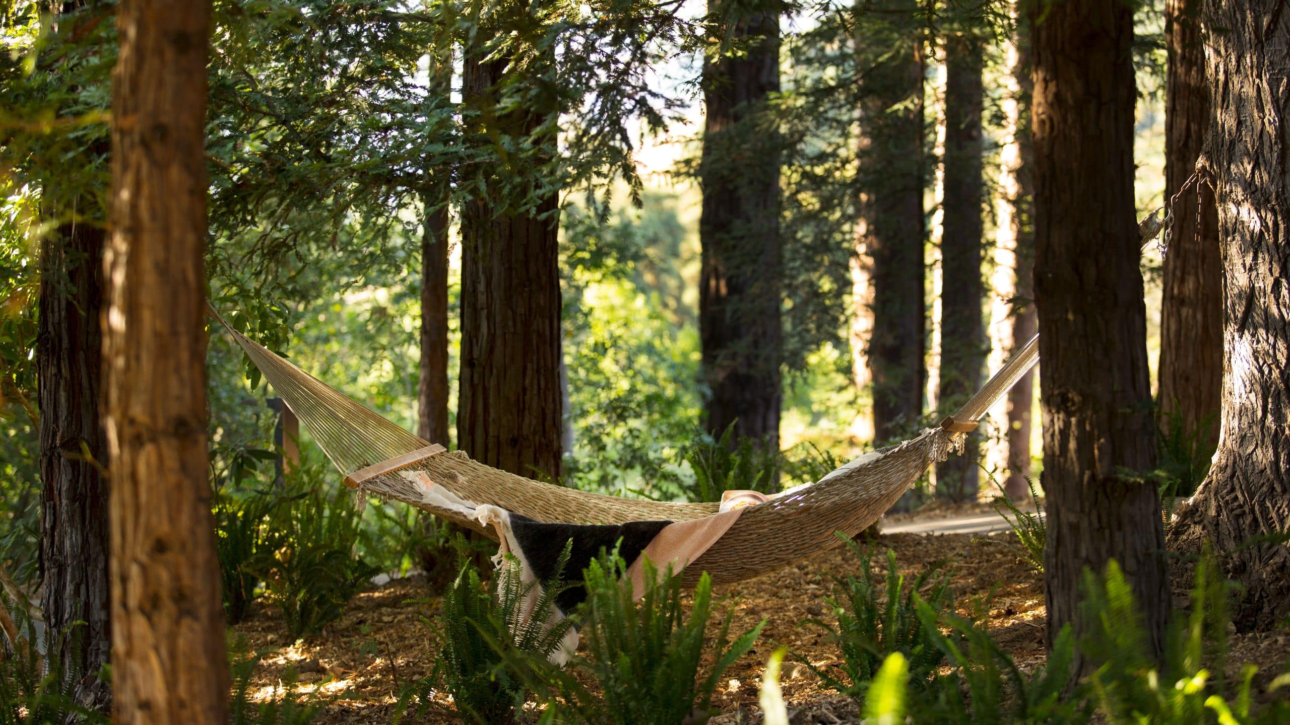 Alila Ventana Big Sur Hammock Forest
