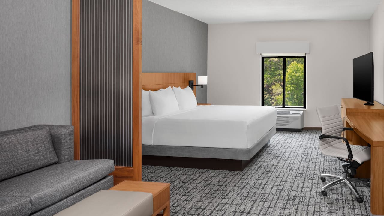 King Guestroom