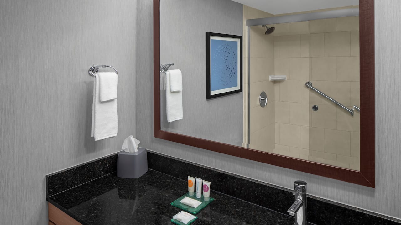 Guest Bathroom Shower