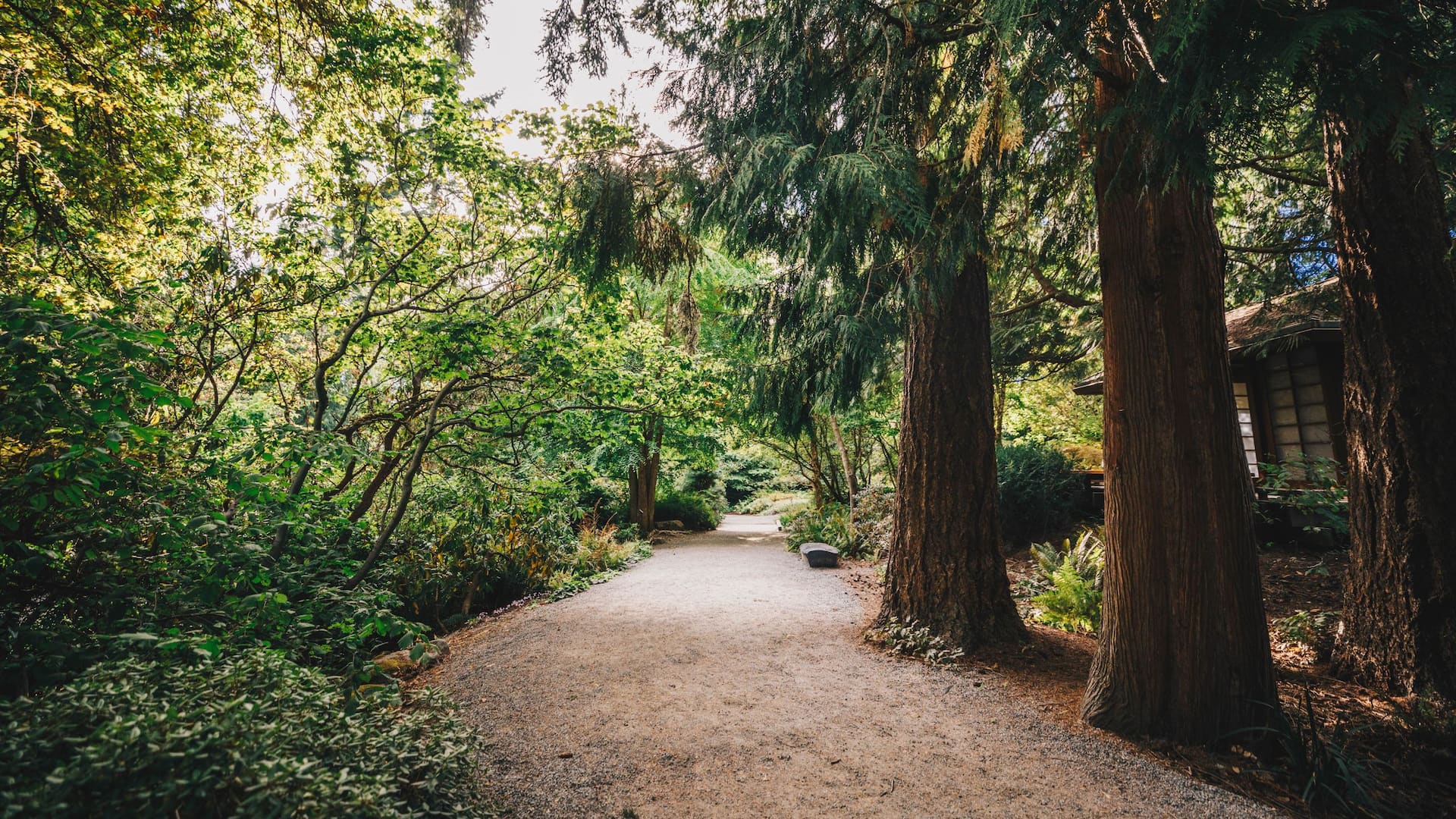 Hyatt Regency Bellevue on Seattle's Eastside Bellevue Botanical Garden Pathway