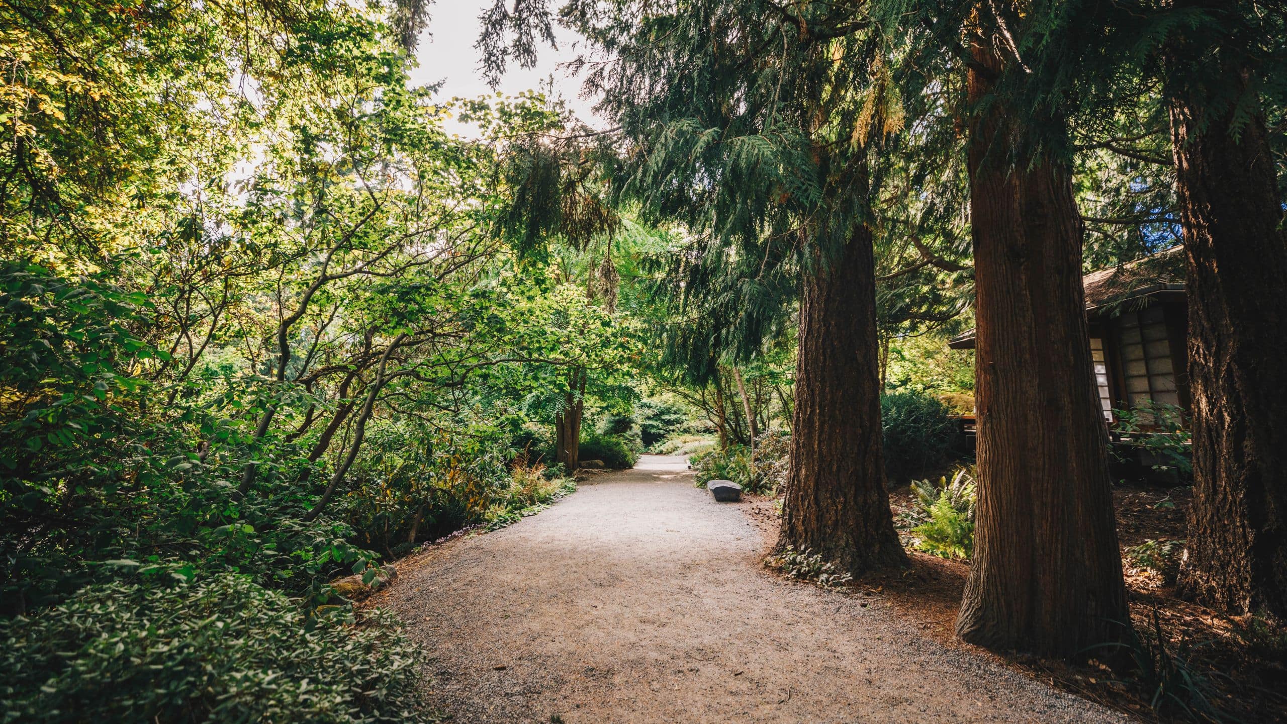 Hyatt Regency Bellevue on Seattle's Eastside Bellevue Botanical Garden Pathway