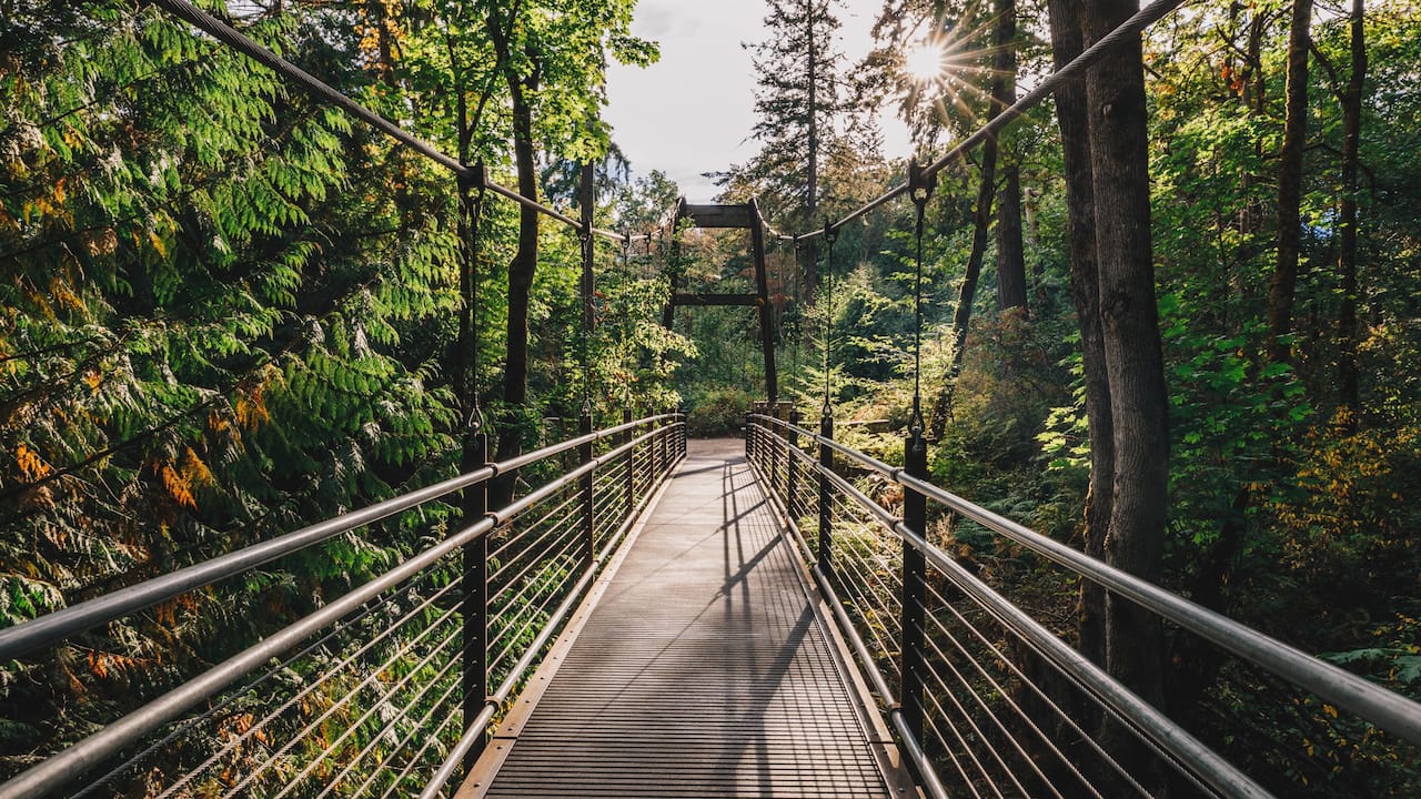  Bellevue Botanical Garden Bridge
