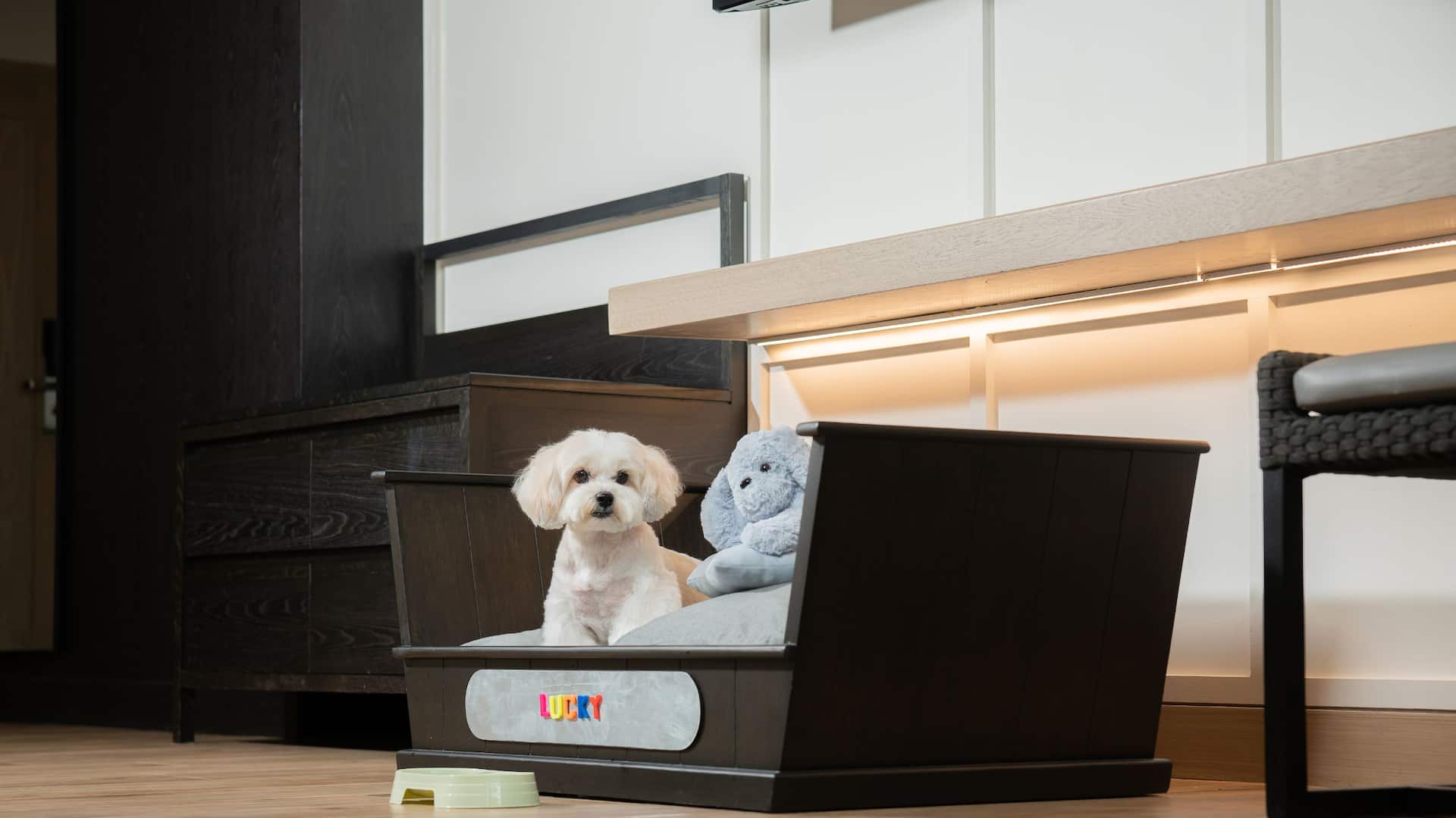 1 de 3 Hyatt Regency Hua Hin Pet Amenity Setup