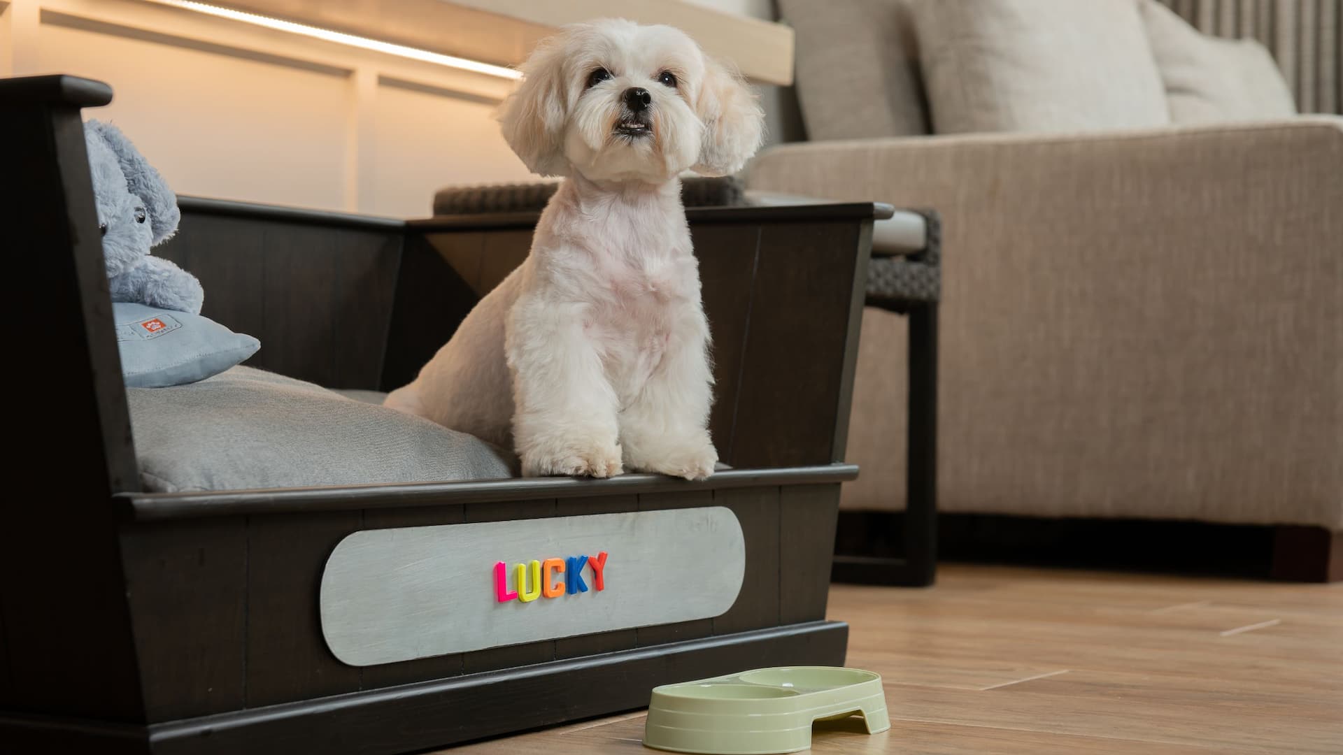 2 de 4 Hyatt Regency Hua Hin Pet Amenity Dog Bed