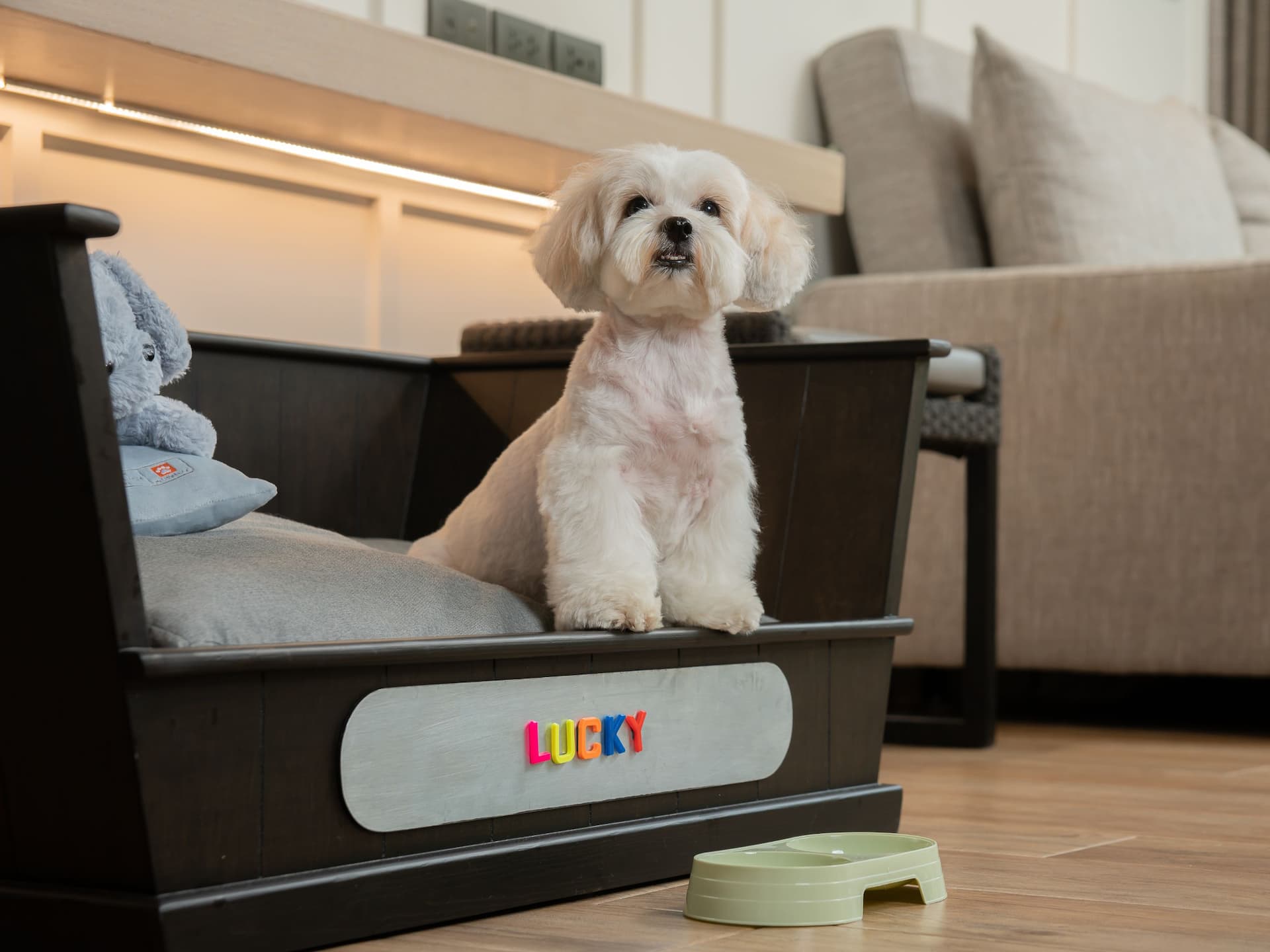 Hyatt Regency Hua Hin Pet Amenity Dog Bed