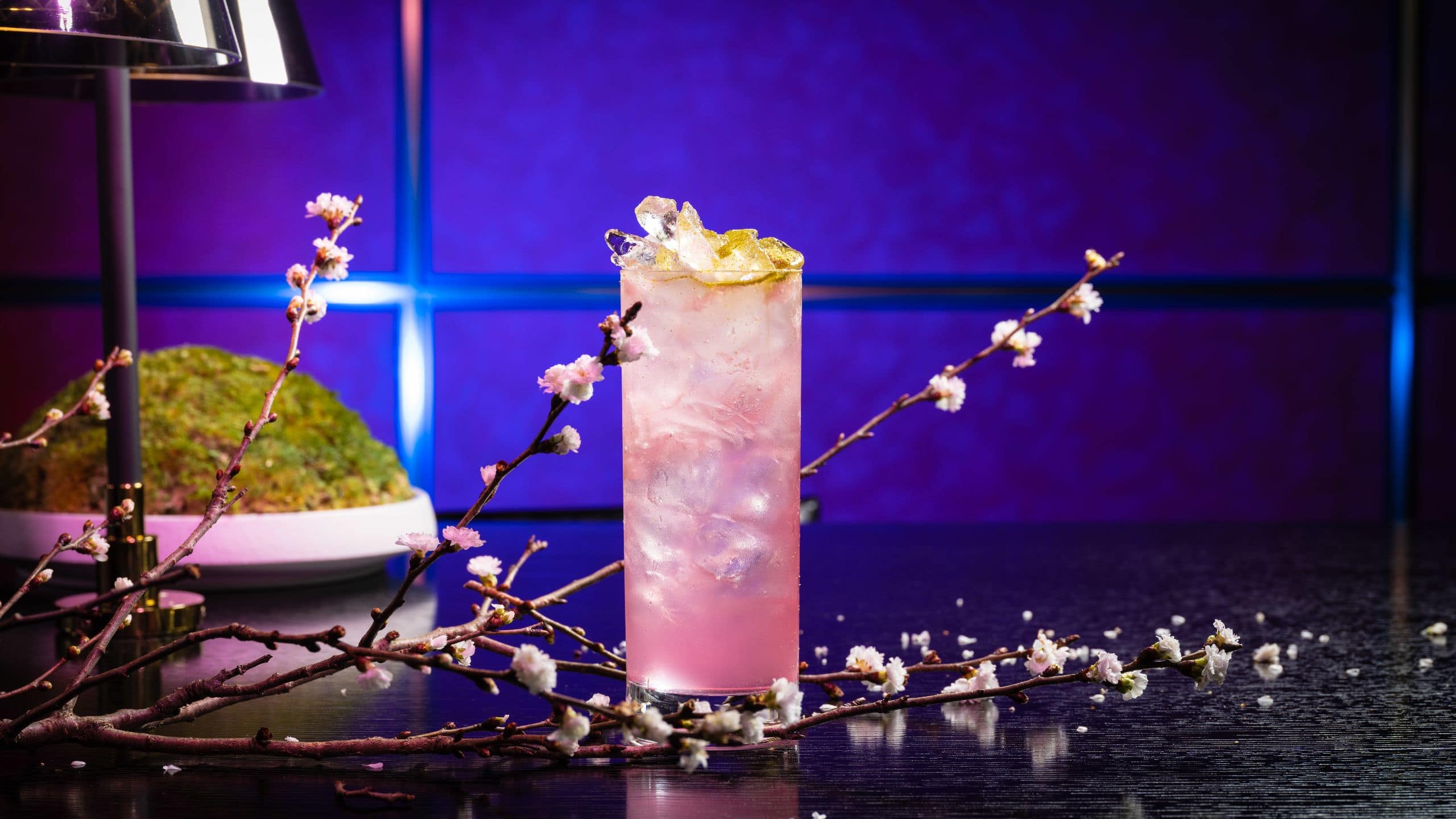 Hyatt Centric Kanazawa Roof Terrace Bar Sakura Cocktail Blue