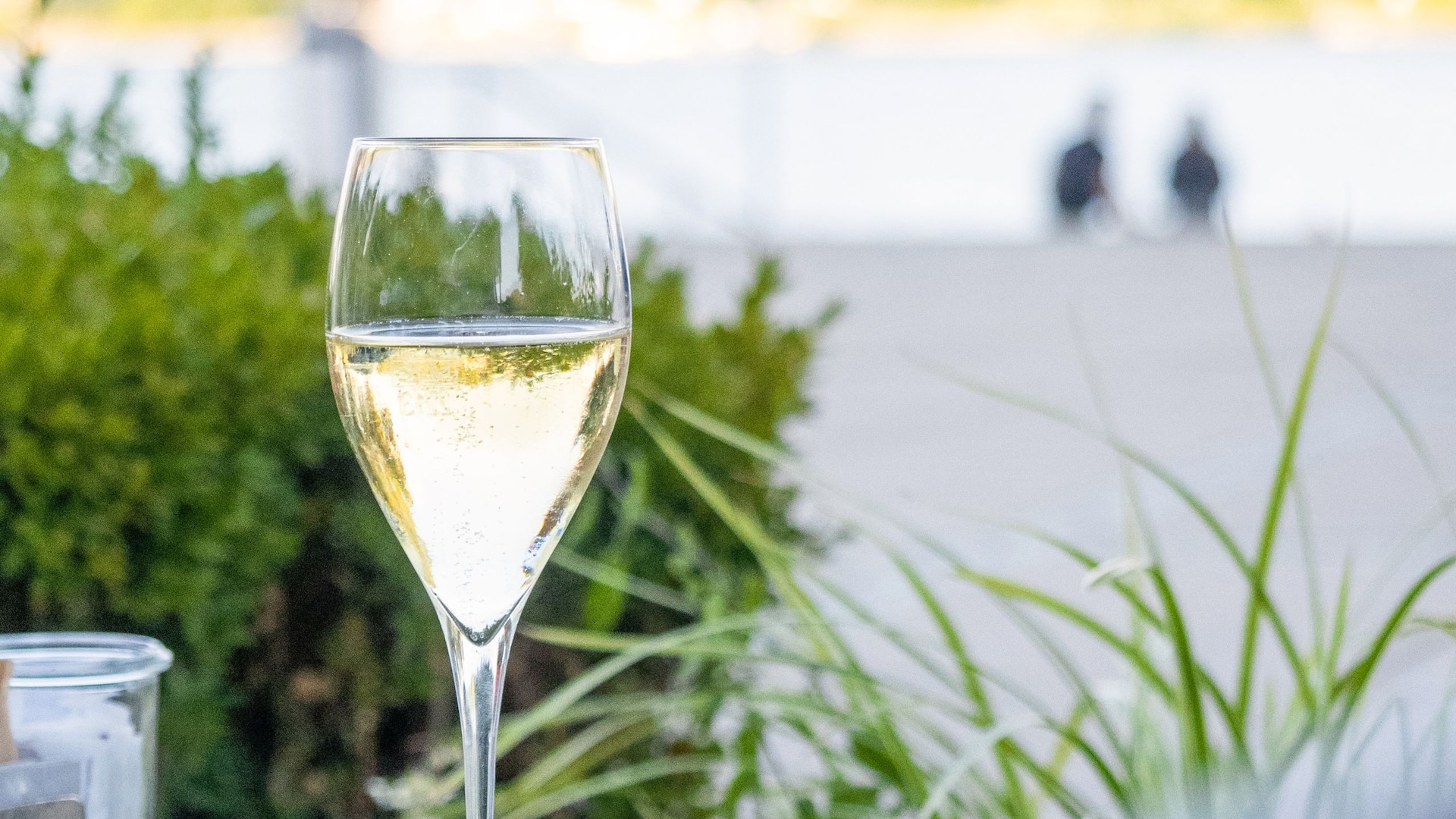 Table with filled glass of white wine at Bellpepper Restaurant and views of Rhine promenade