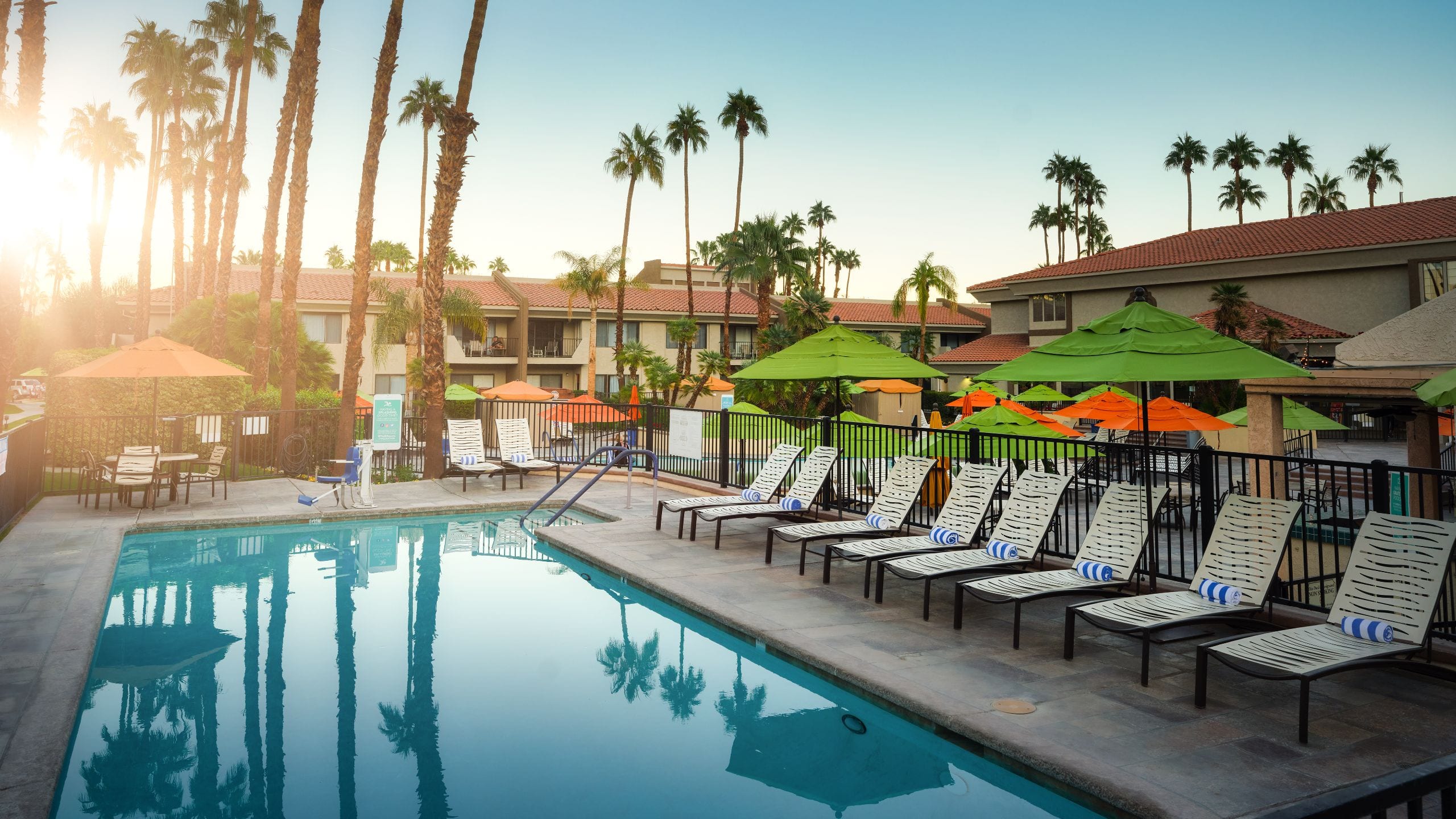 Desert Oasis Lap Pool