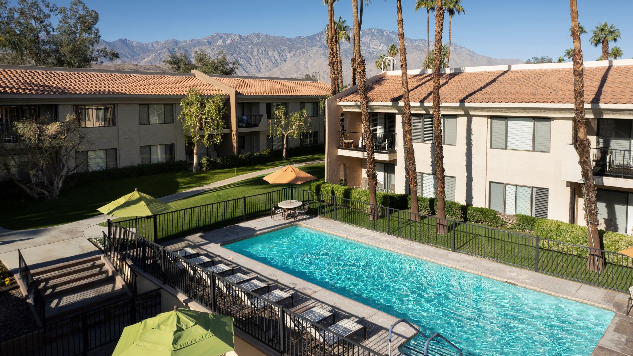 Desert Oasis Lap Pool