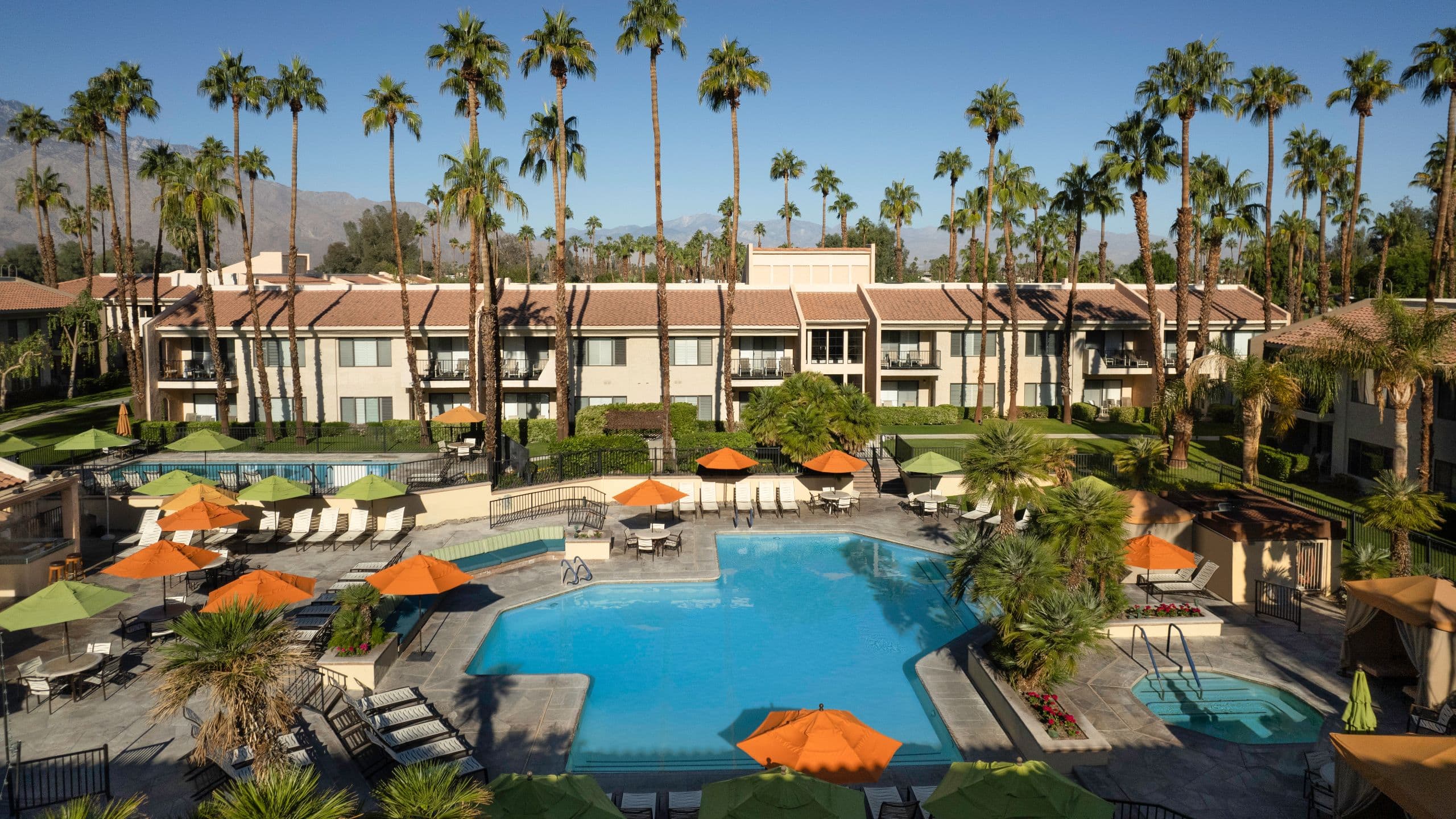 Desert Oasis Pool Layout