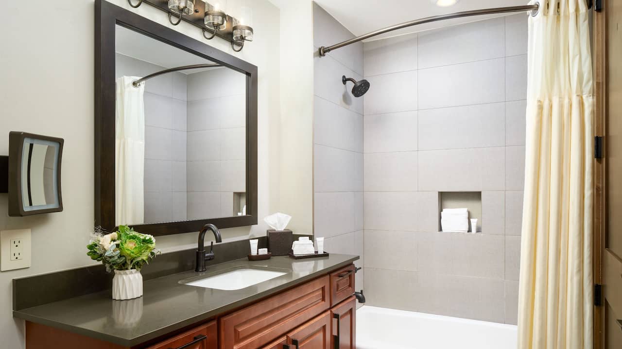 One Bedroom Suite Bathroom