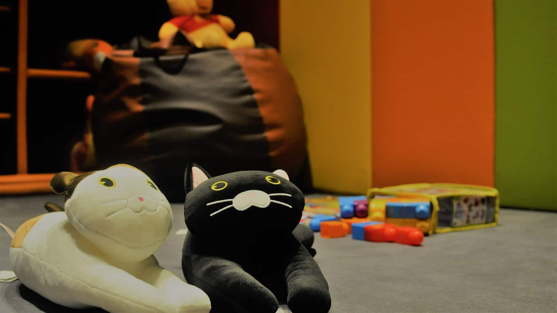 Hyatt Regency Amritsar Kids Zone Toys